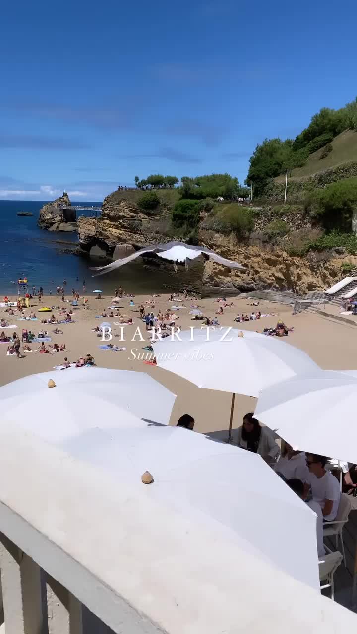 Dreaming of Biarritz in Summer 🌴🌊