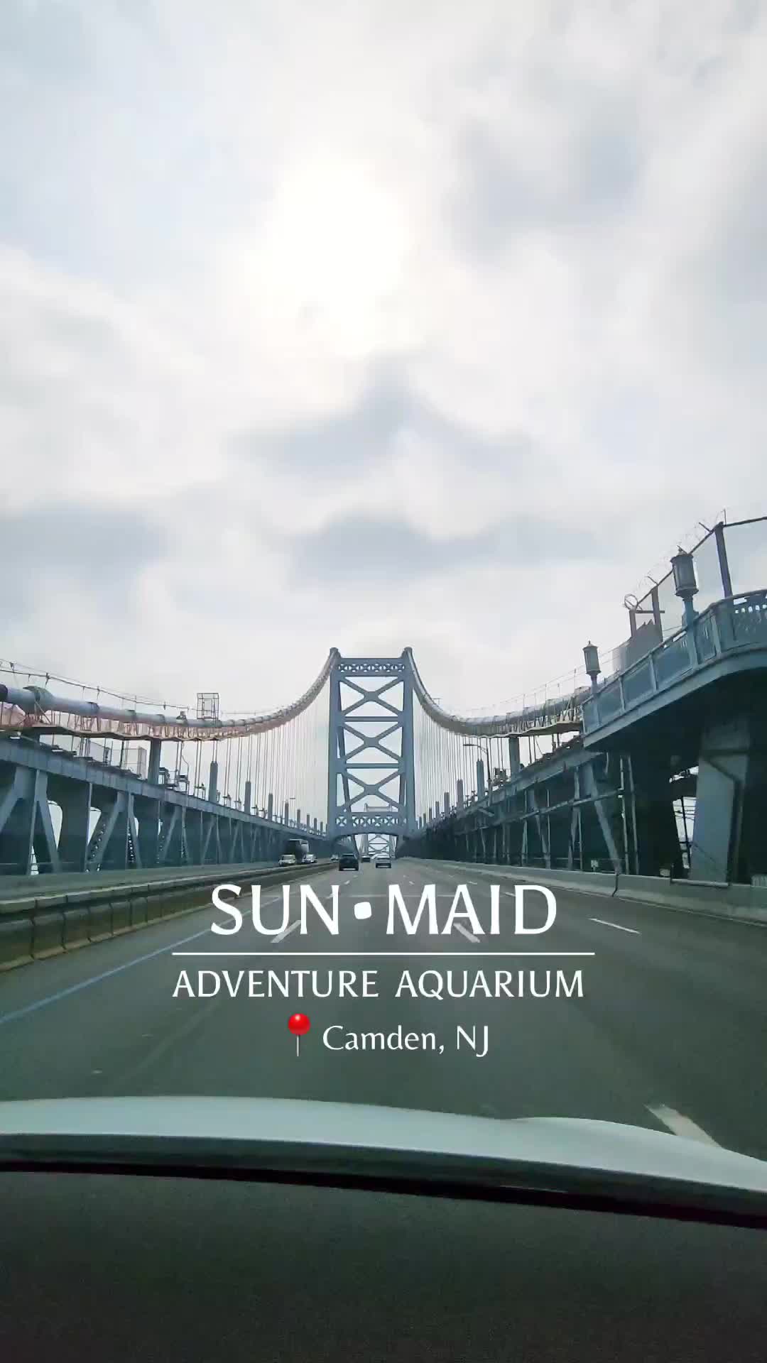Aquarium Fun with Sun-Maid Yogurt Raisins Every Sunday!