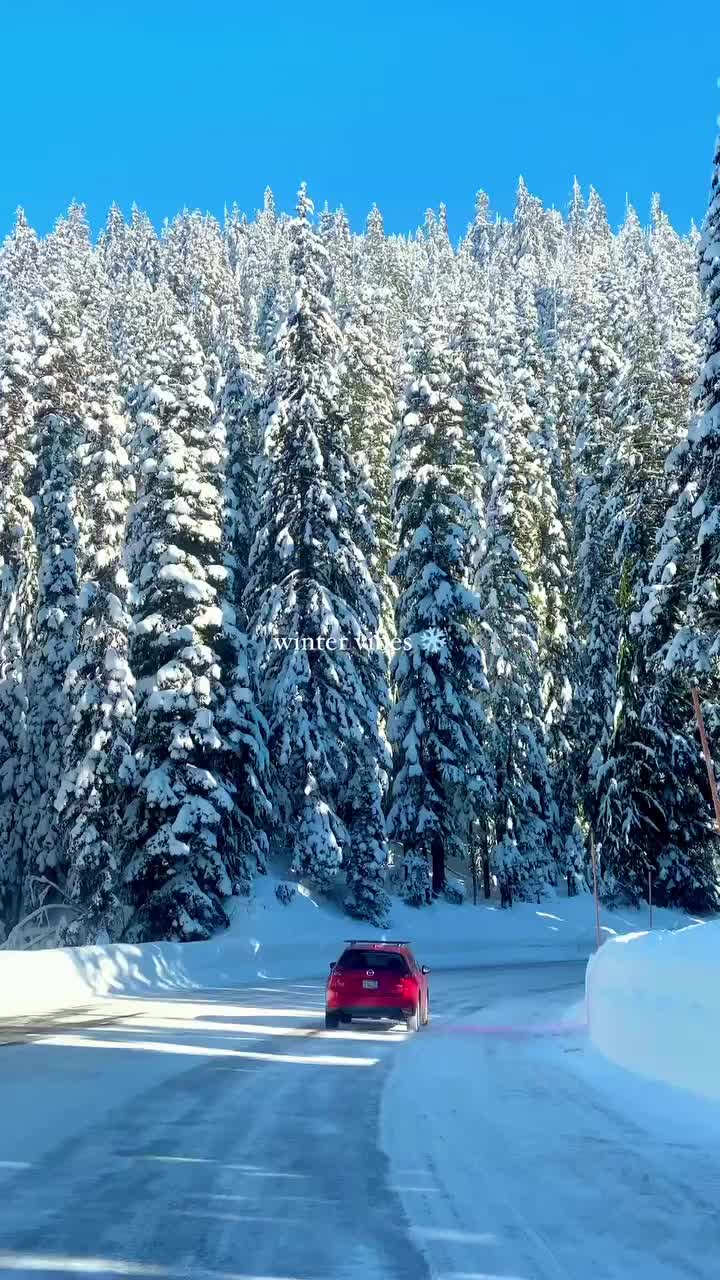 Winter Drive Through Mount Rainier National Park