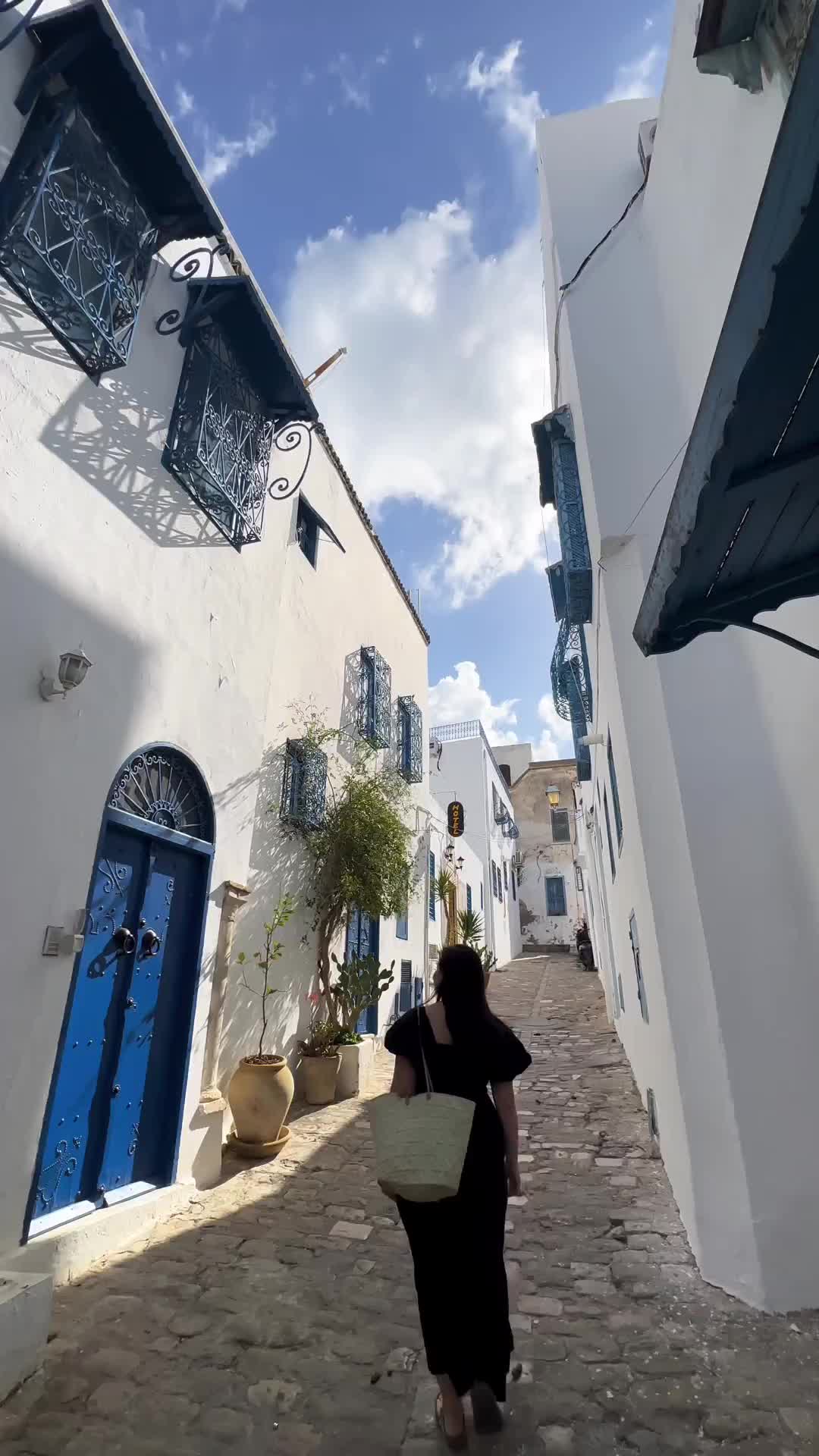 Explore Sidi Bou Said: Tunisia's Blue and White Gem