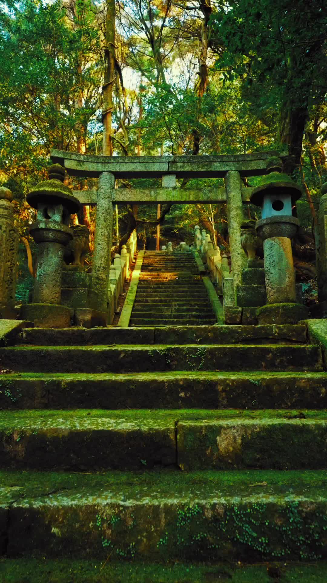 Sacred Path to Chihyaku Shrine in Mitoyo, Japan