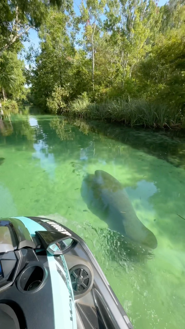 Weeki Wachee Gardens, United States