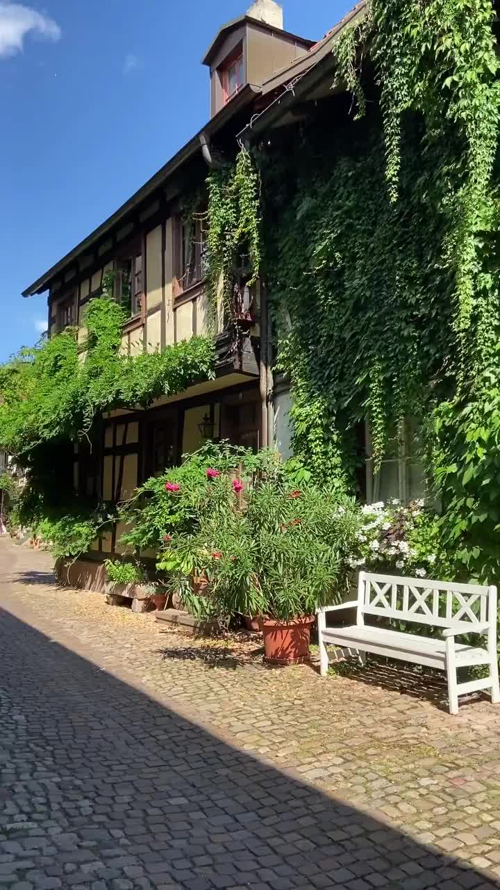 ¿Como se mide el encanto de los pueblos? 

A nosotros Gengenbach es uno de esos que nos ha enamorado 🤩

En plena Selva Negra es uno de los más pintorescos que vas a encontrar y que sin duda debes incluir en tu ruta por esta zona de Alemania. 

Además, ¿has visto Charlie y la Fábrica de Chocolate? Pues deberás saber que en este pueblo se inspiraron para contar la historia del niño alemán y salen varios fotogramas de su plaza. 

¿A que es una maravilla pasear por sus calles? 

#alemania #visitgermany #germany #germanytourism #familytravel #familytrip #travelfamily #europe_vacations #europetravel #travelwithkids #bestofgermany #germanytravel #reelsinstagram #reelsgermany #reelsviral #travelgram #travelblogger #gengenbach #blackforest #selvanegra