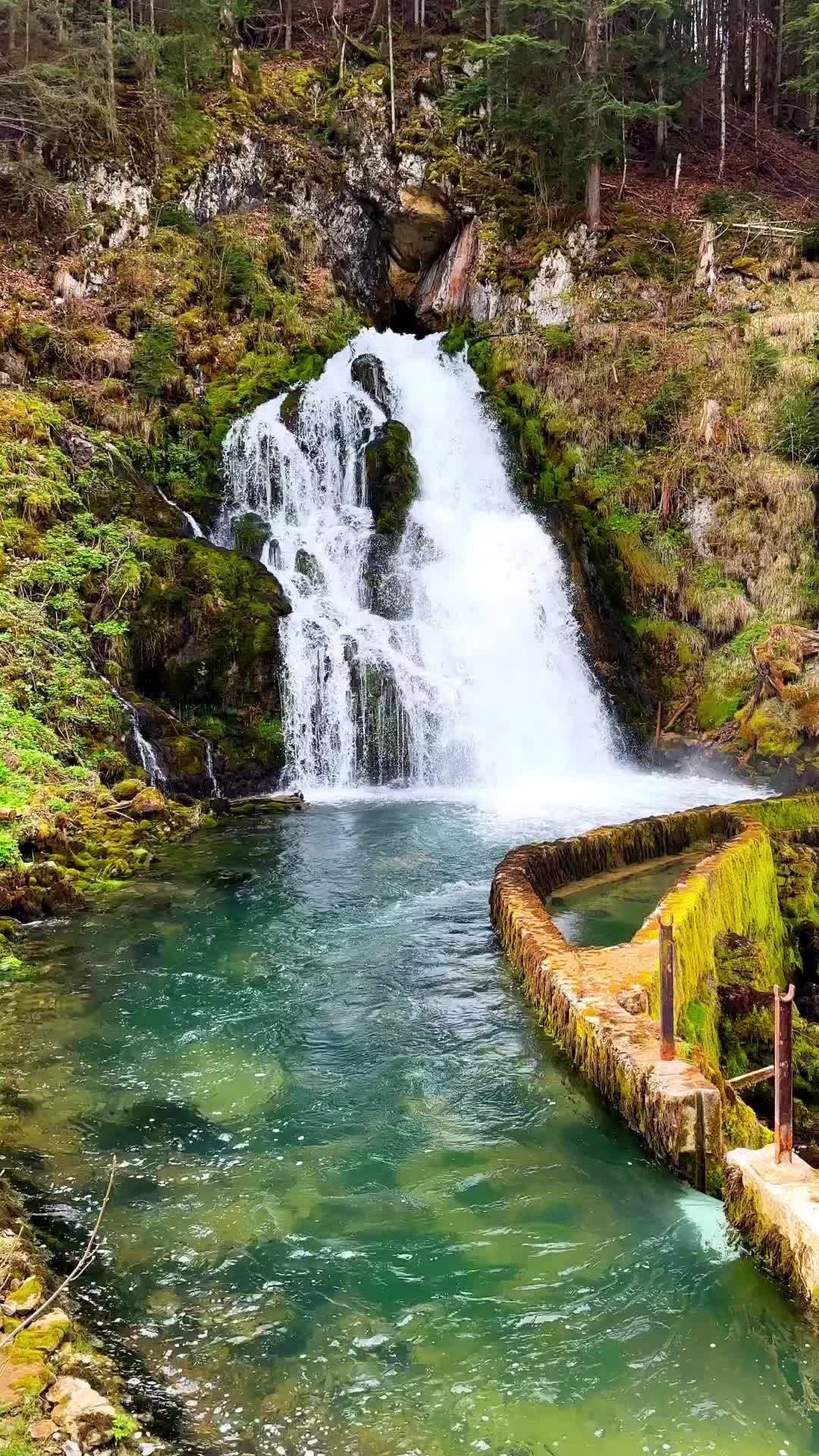 Discover the Hidden Waterfall in Jaun, Switzerland