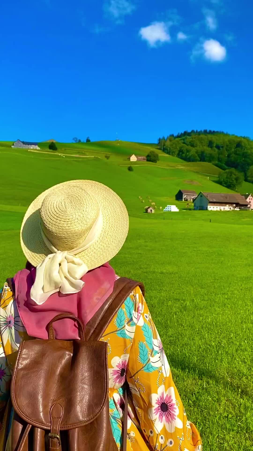 Discover the Greenest Part of Switzerland: Appenzell