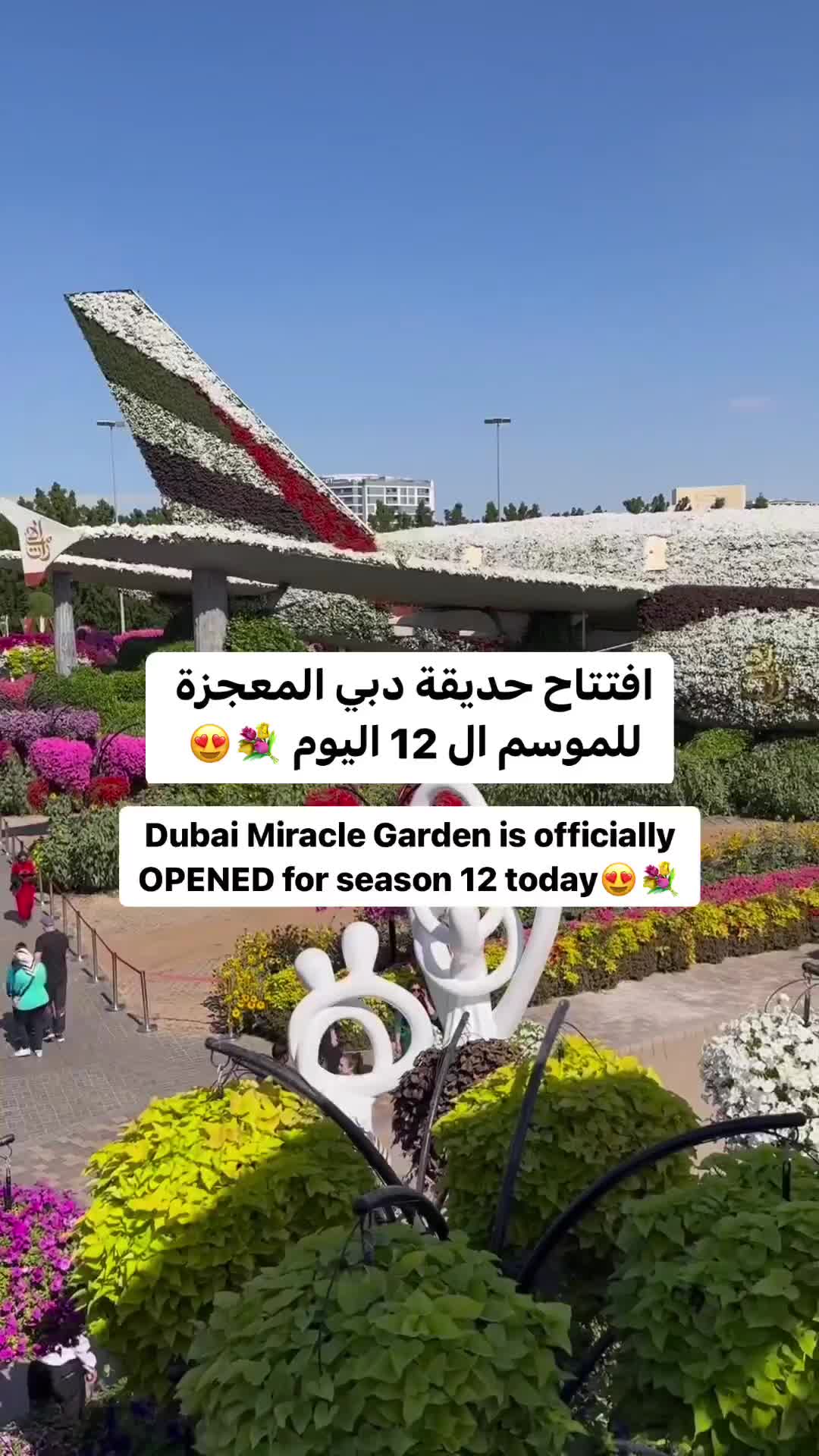 أكبر حديقة زهور في العالم تفتح أبوابها للموسم 12 💐 The World’s Largest Natural Flower Garden is OPENED 🪴 
-
الأسعار: سعر تذكرة جميع المقيمين ( 65 درهم ) 
التذكرة العادية: 95 درهم. تحت سن ال 13 : 80 درهم . تحت ٣ : مجاناً 
-
الأوقات: أيام الأسبوع: 9 صباحًا لين 9 مساءً .. ويكند: 9 صباحًا لين 11 مساءً .
-
Follow @dubai0006 For More ❤️ 
-
#dubai #mydubai #visitdubai #دبي #flowers #garden #حديقة #حديقة_الزهور #beautifuldestinations