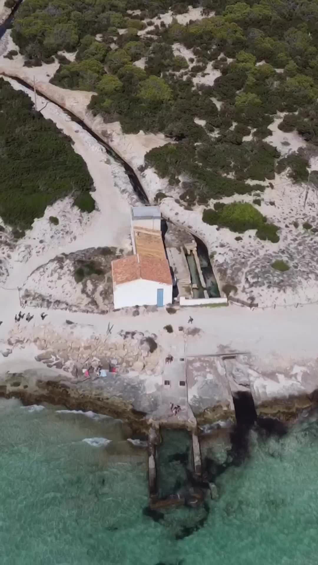 Swim in Crystal Clear Waters at Es Trenc Beach, Mallorca