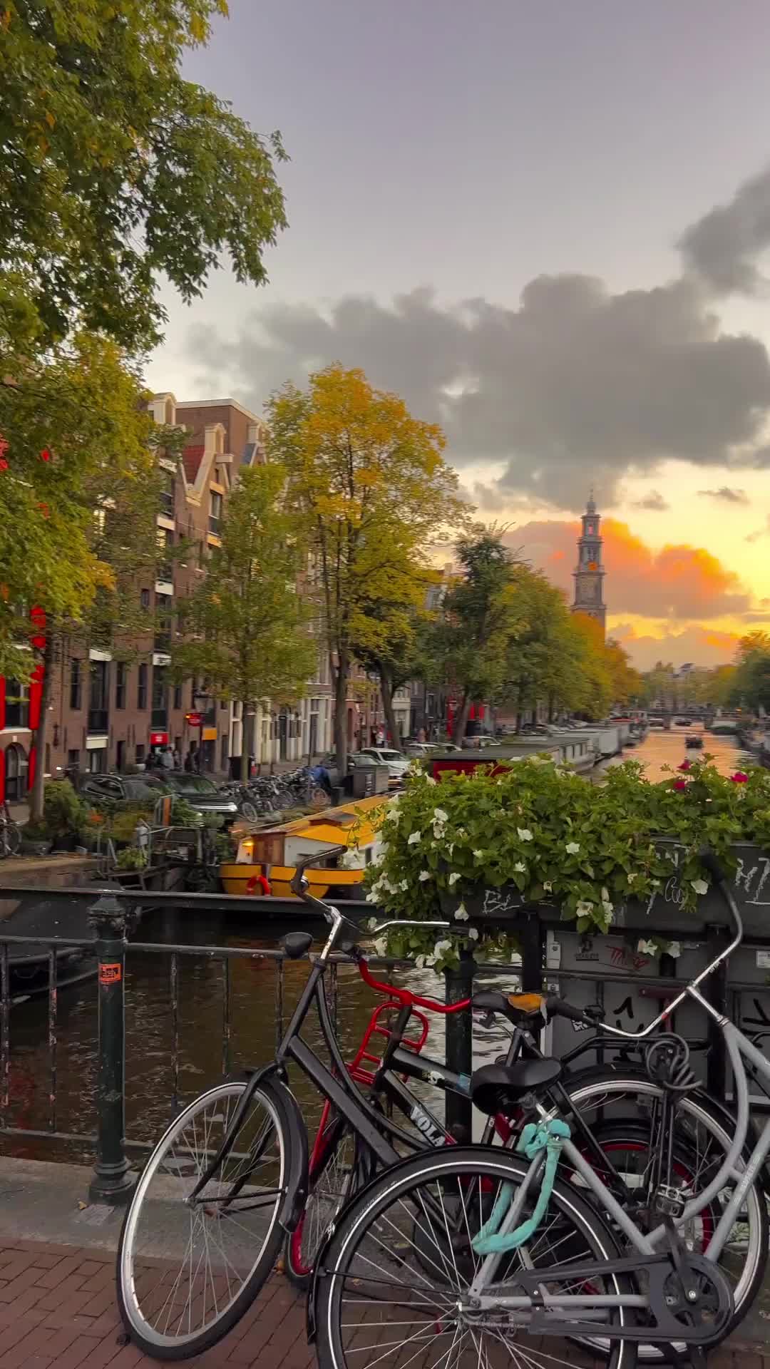 Autumn in Amsterdam 🍂✨🍁