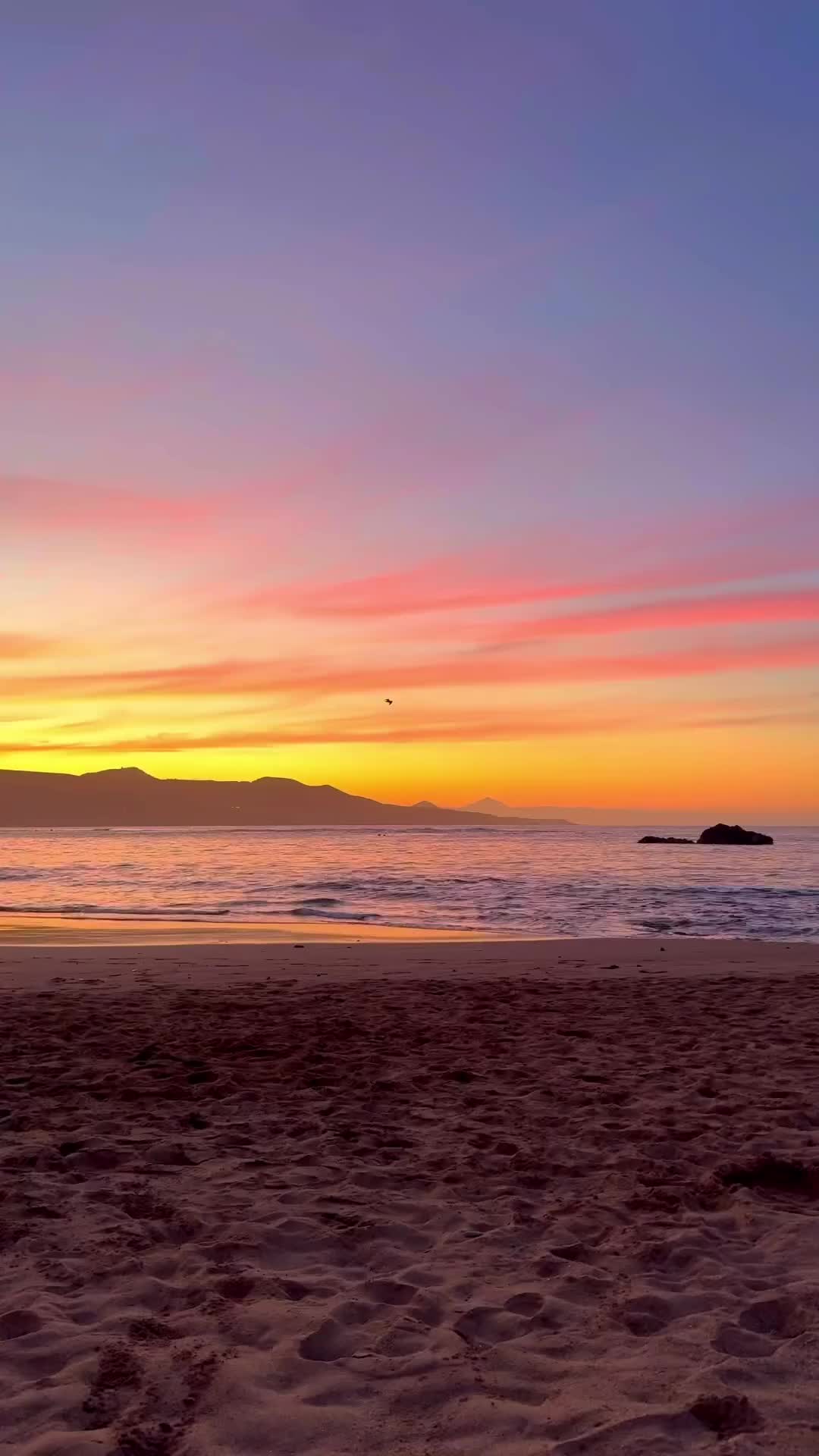 Vamos a ver el atardecer 🧡

La Playa de las Canteras siempre será uno de mis rincones favoritos ✨

#grancanaria #laspalmasdegrancanaria #playadelascanteras #visitgrancanaria #visitagrancanaria #latituddevida #escapadaagrancanaria #roadtripgrancanaria #grancanaria2024 #visitspain #atardecerencanarias #atardecerengrancanaria #dondeverelatardecergrancanaria #lascanteras  #sunsetgrancanaria #grancanariasunset

Dónde ver el atardecer en Gran Canaria | Atardecer en Gran Canaria | Gran Canaria Sunset