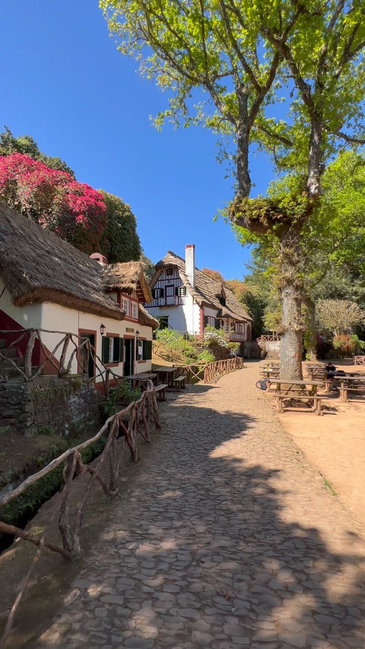 📍Parque das Queimadas, Madeira, Portugal 🇵🇹 

I know guys, almost everyone who has visited Madeira posted this cafe of Queimadas park in Instagram😁

I will not be an exception, because people like this picture 😎
but in my stories I will tell and show you a little more than just popular pictures from Levada do Caldeirão Verde (although they will also be). 

I share with you unique information, tips and itineraries of various places in this world (currently in Madeira). 

Bookmark, share with friends and don‘t forget about  the likes 😉