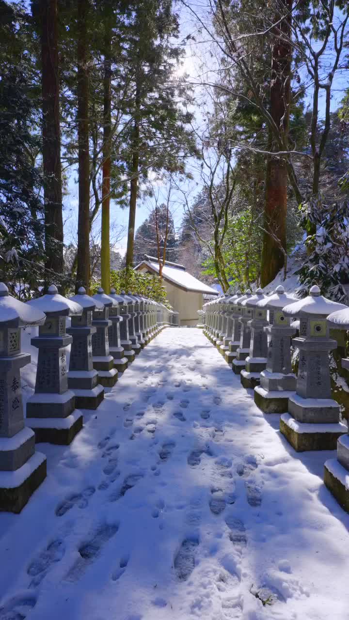 Sunlit Snow Shower at Unpenji Temple, Miyoshi