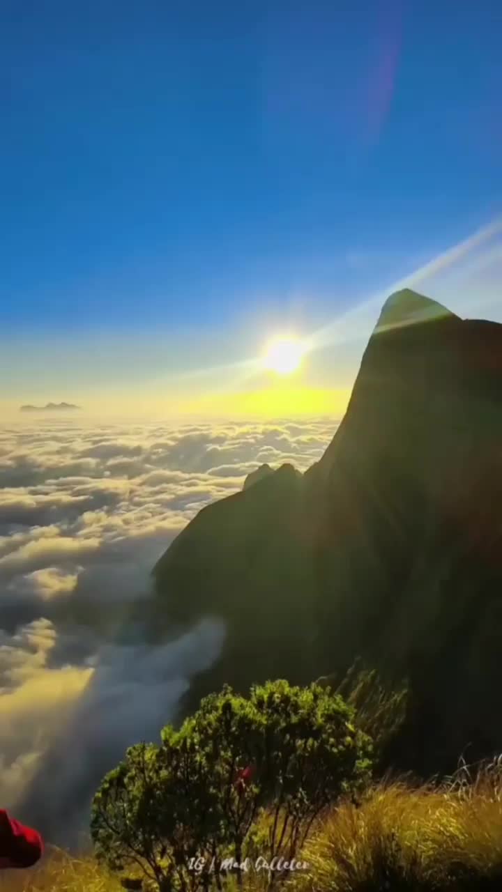 Sunrise Trek at Kolukkumalai Peak | Join Trekkers of Maharashtra