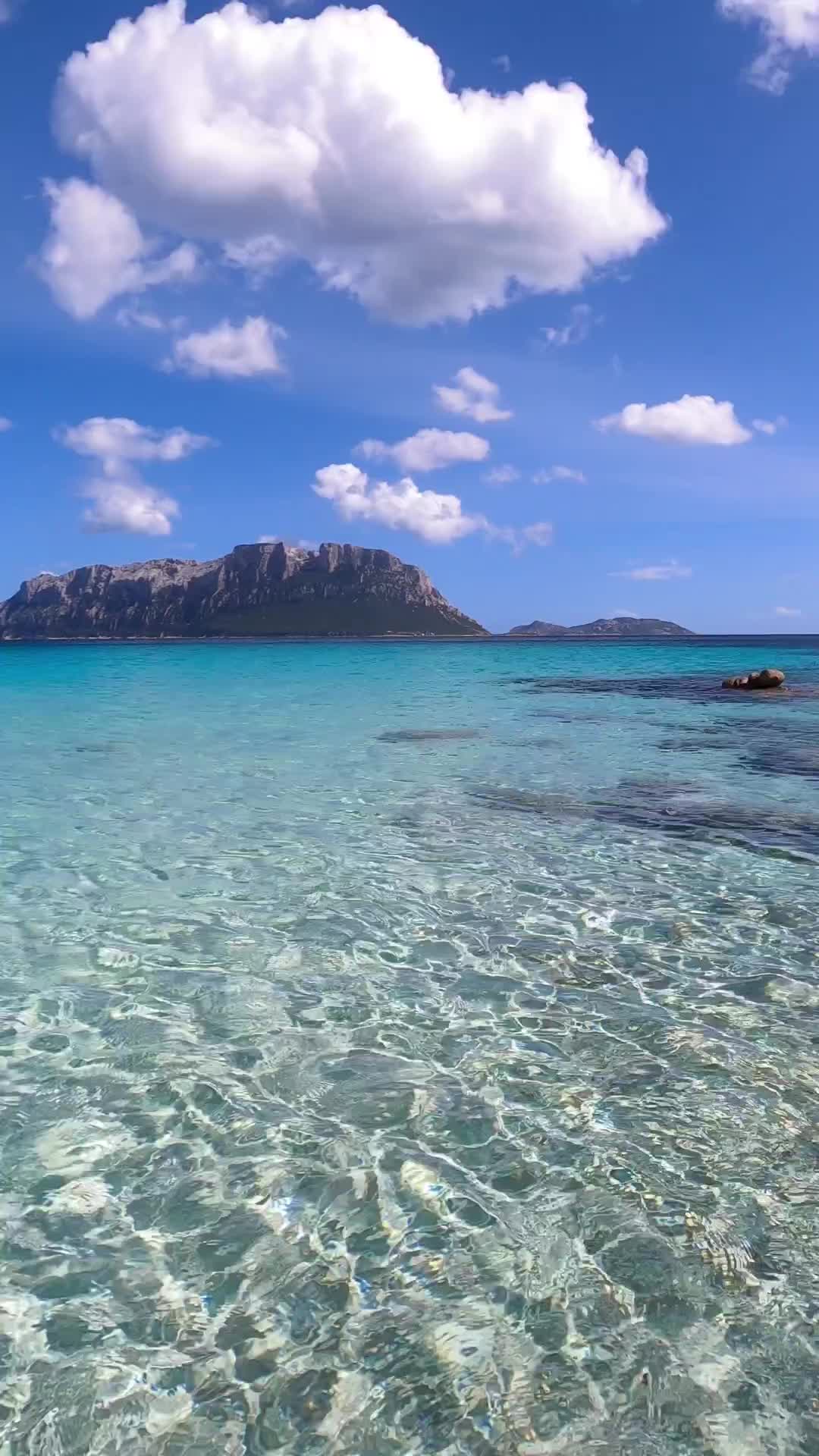 Maestrale e nuvolette. Che cosa si può chiedere di più? 

📌Spiaggia del Dottore. Olbia 🇮🇹

#sardegna 
#sardinia 
#sardegnaofficial 
#sardegna_reporter 
#volgosardegna 
#volgoitalia 
#italy 
#ig_italia 
#beautifuldestinations 
#bestplacestogo 
#wonderful_places 
#earthpix 
#nature 
#naturelovers 
#travel 
#sea 
#summer 
#beach 
#bestvacations