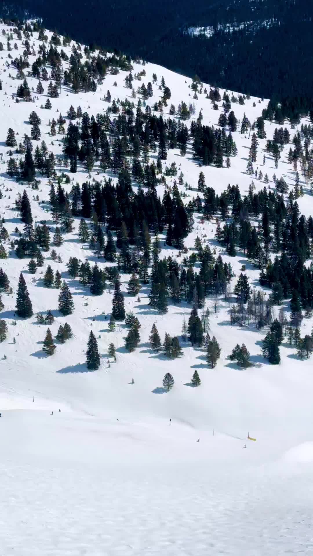 Discover the Legendary Back Bowls of Vail Ski Resort