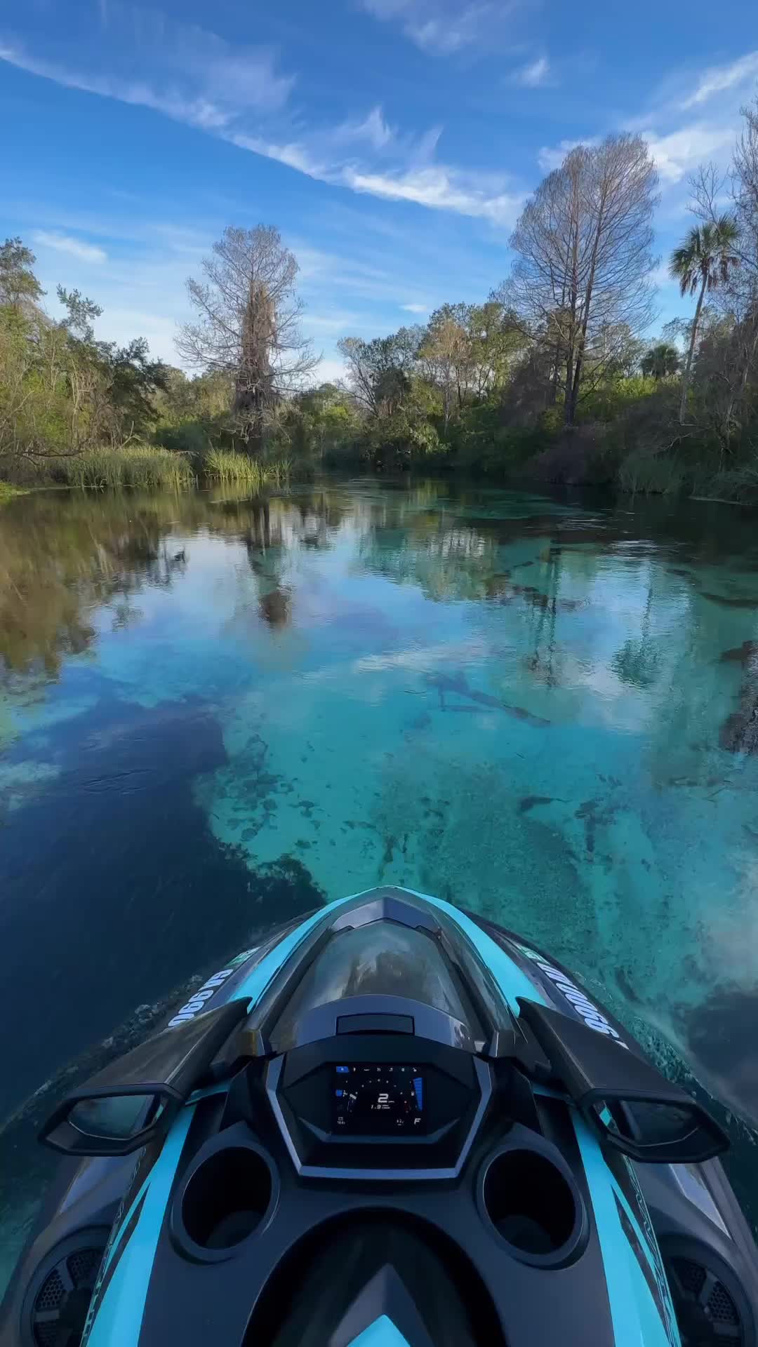 Exploring Weeki Wachee: Florida's Natural Springs Adventure