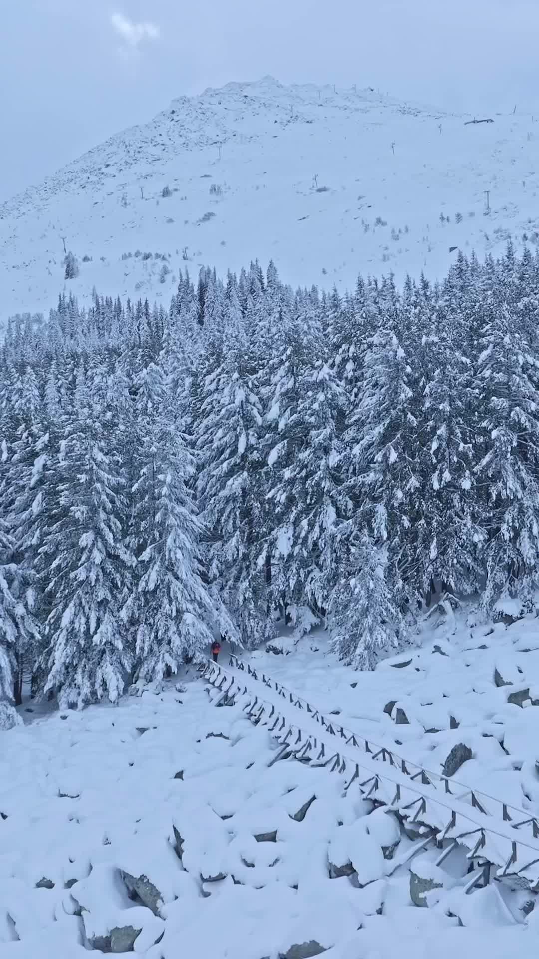 Vitosha Mountain: Winter Wonderland in Bulgaria