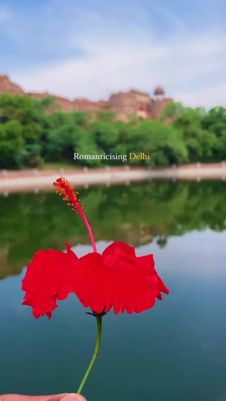 Delhi wanted to tell its story so it left behind the forts to do the job 😍🌺
Reel by - @withlavish 
.
.
#reels #instagram #explorepage #delhi #india #flower #girl #bollywood #reelsinstagram #reelitfeelit #newdelhi #creator #reelsvideo #reelsviral