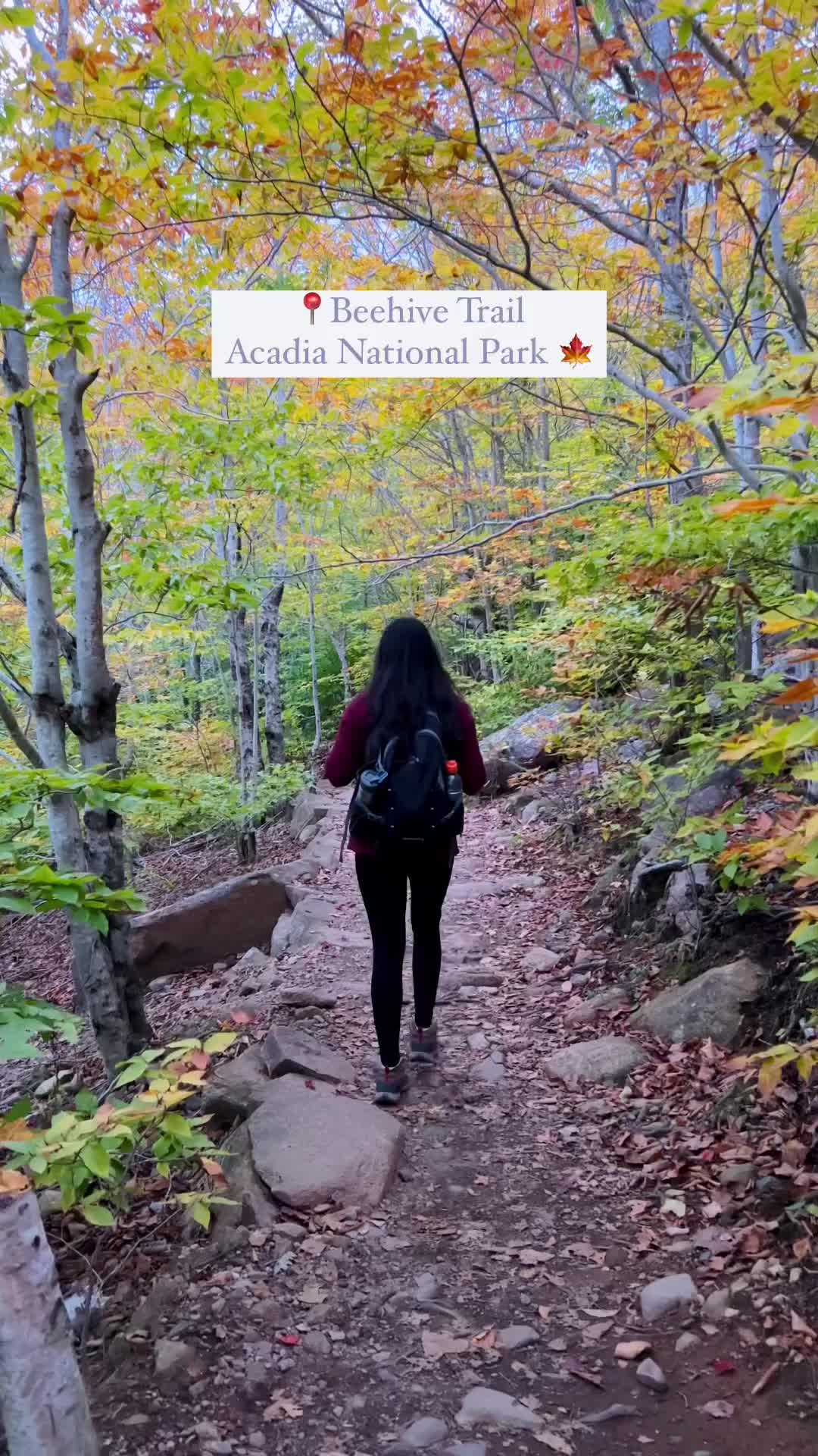 Hiking Beehive Trail in Acadia | Fall 2023 Adventure