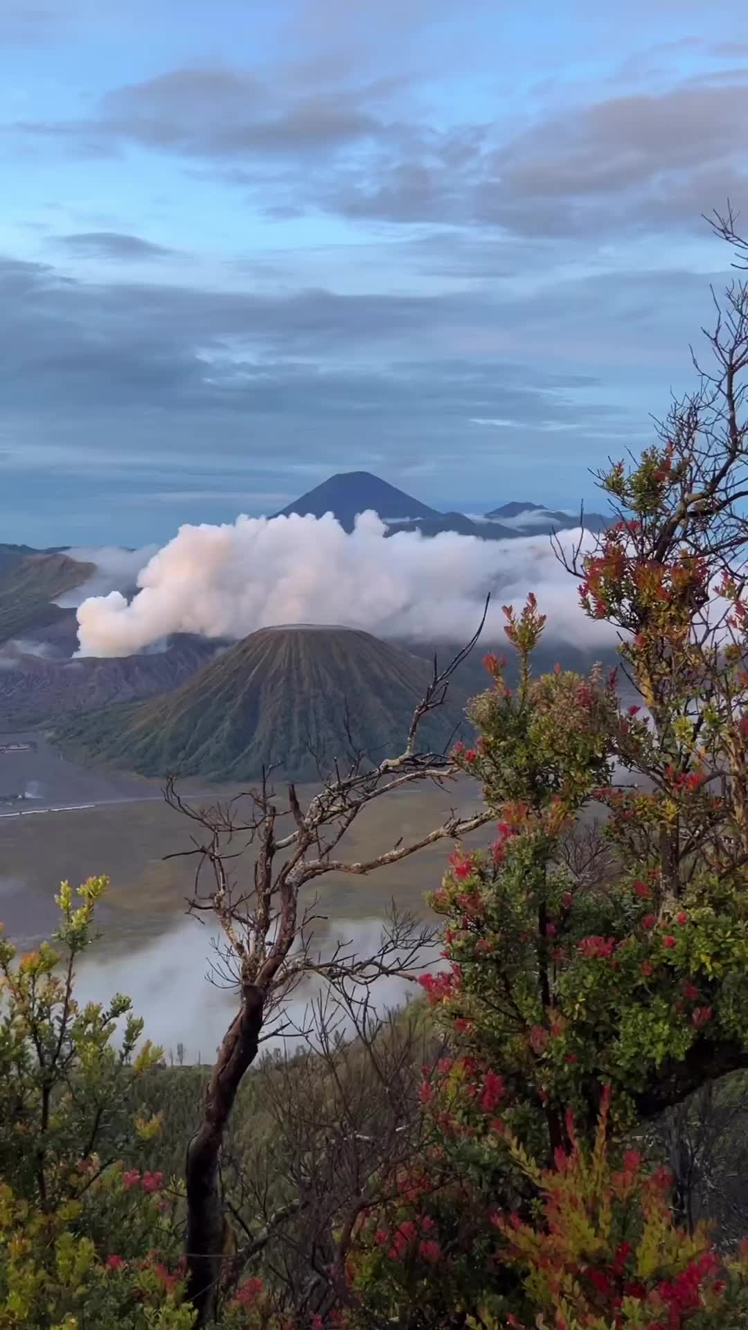 Unforgettable Mount Bromo Adventure in Indonesia 🌋