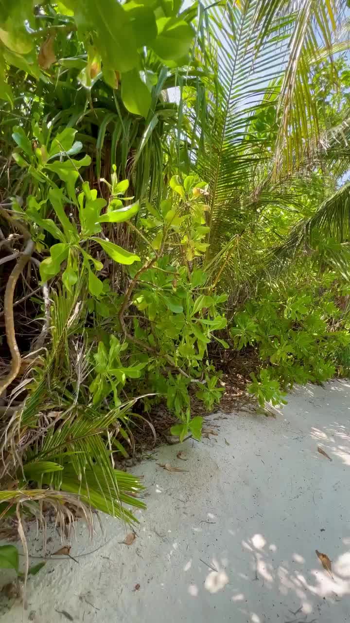Explore Anantara Dhigu Maldives Resort Paradise