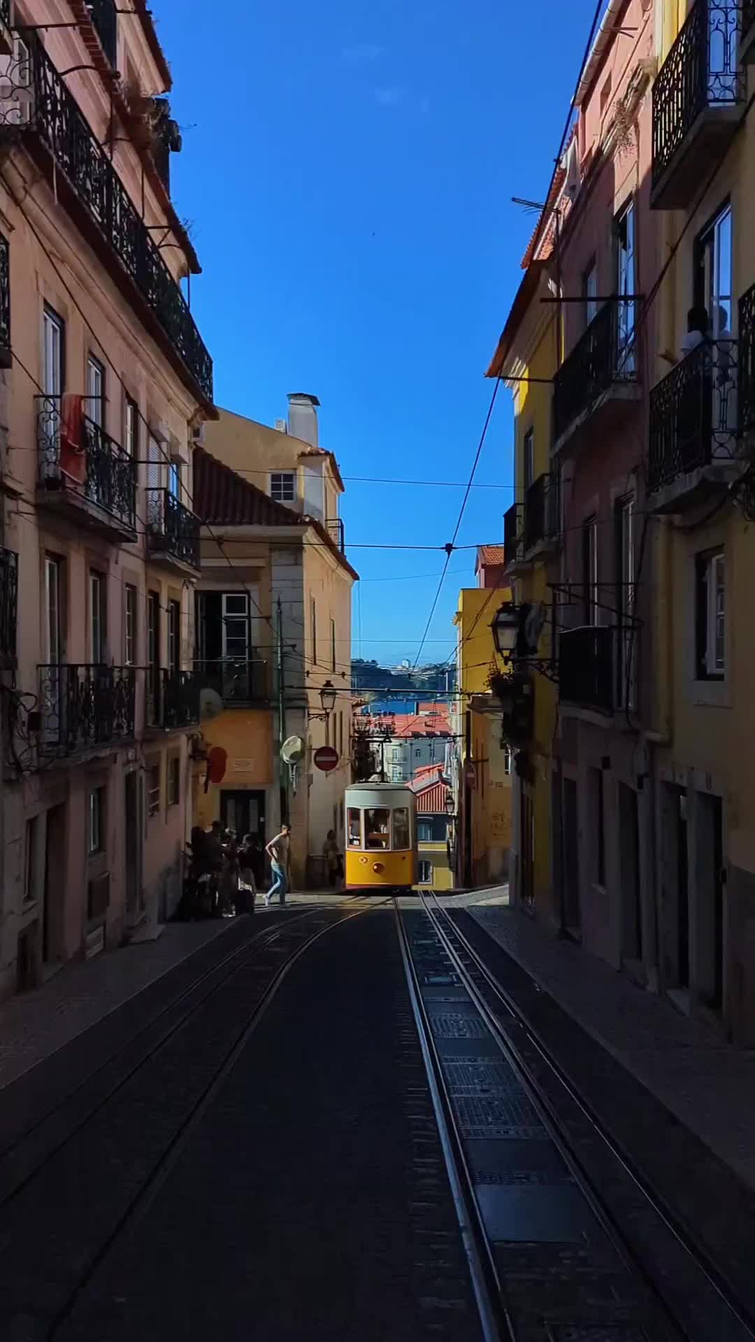 Discover the Charm of Lisbon's Iconic Trams