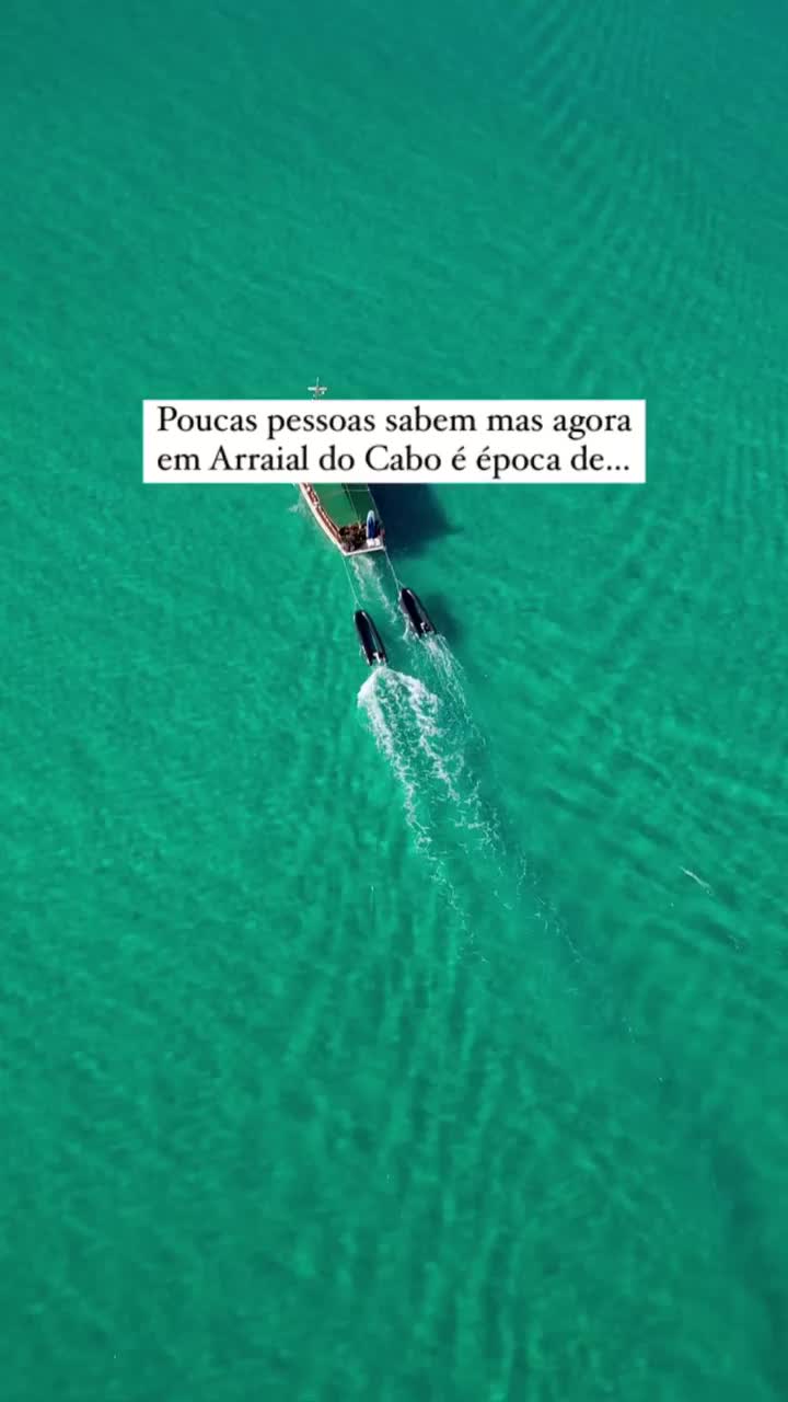 Whale Watching Season in Arraial do Cabo! 🐋