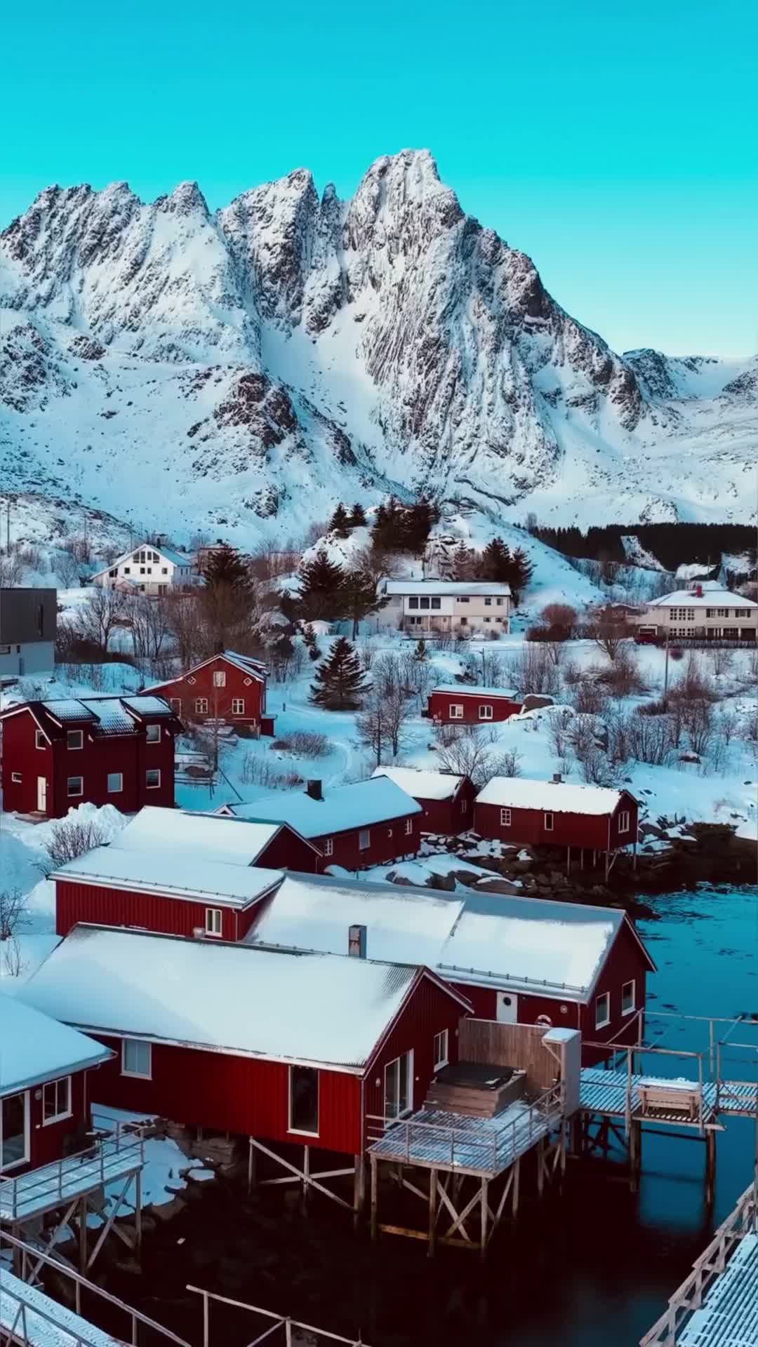 Good Morning from Lofoten Islands' Winter Wonderland