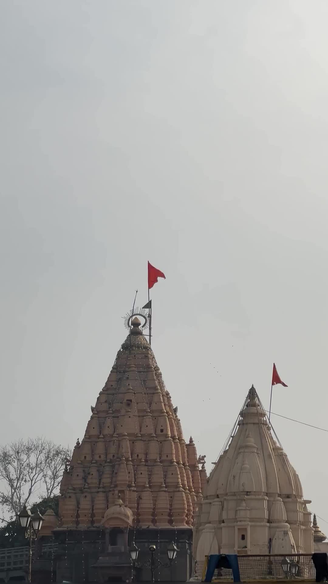 जय श्री महाकाल | Ujjain Mahakal Temple Night View