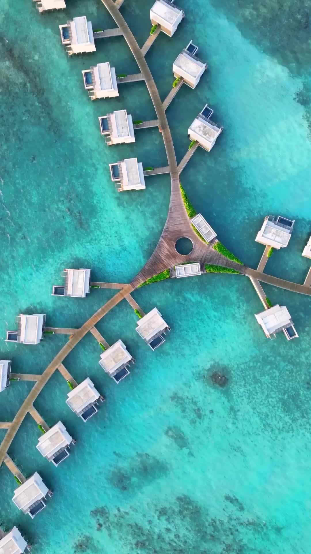 Discover Paradise at Alila Kothaifaru Maldives Resort