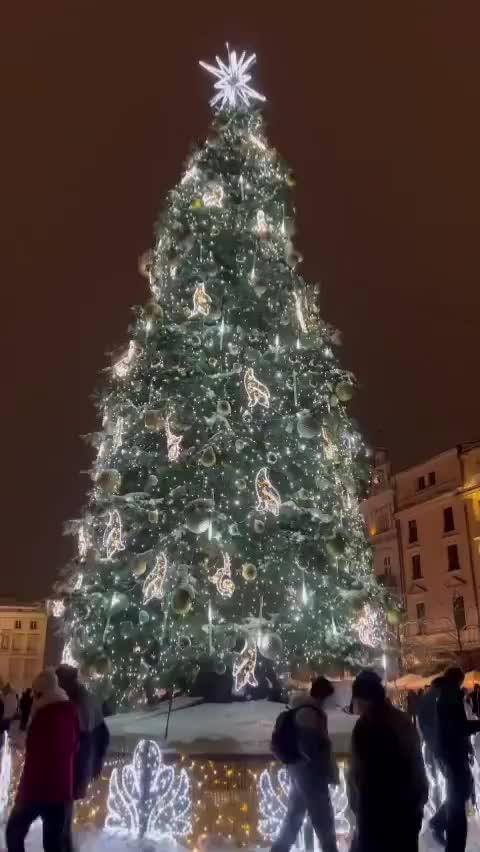 Kraków's Main Christmas Tree Sparkles in Winter Wonderland