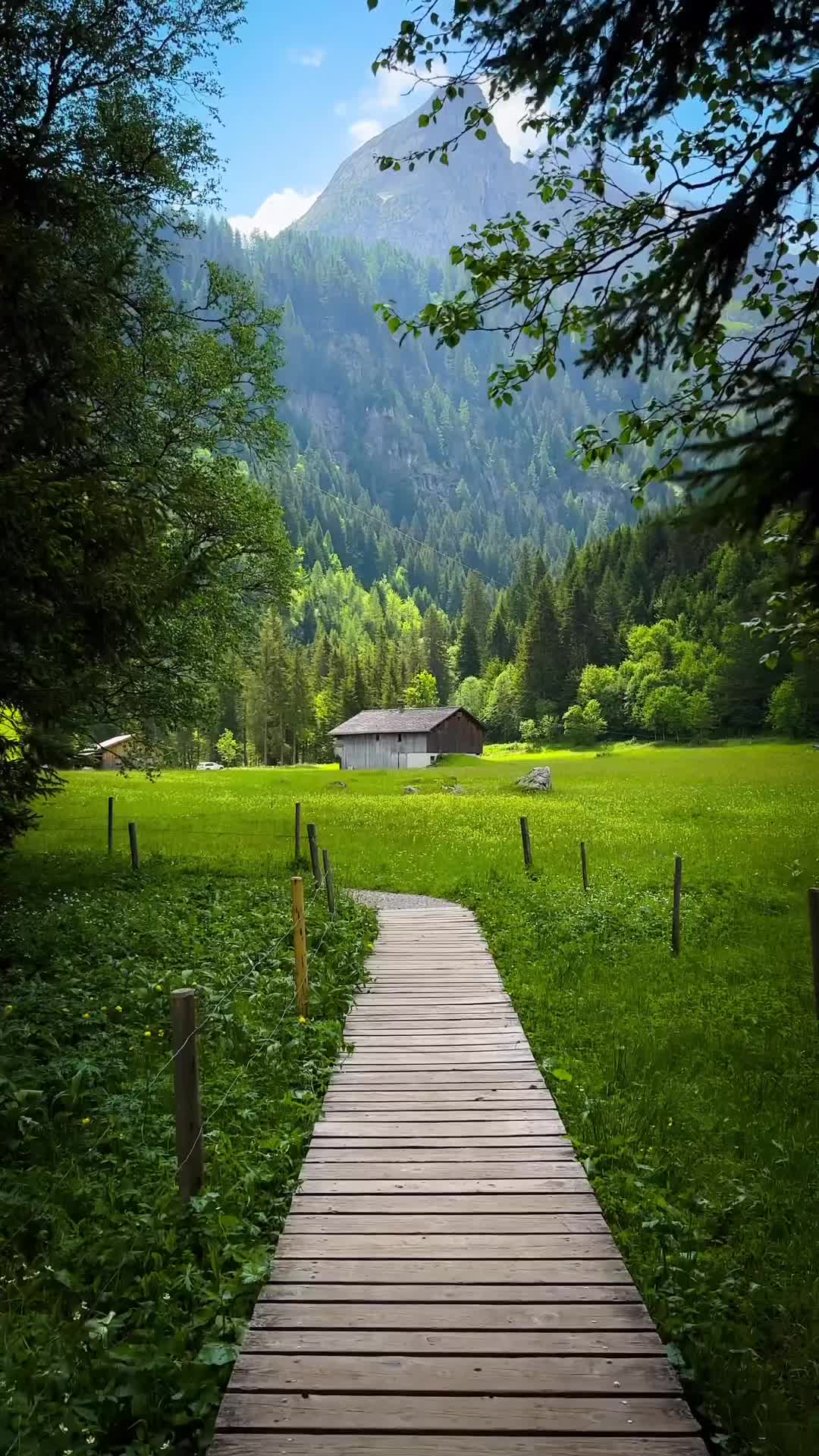 Switzerland's Nature Therapy: Walk Forever in Sachseln