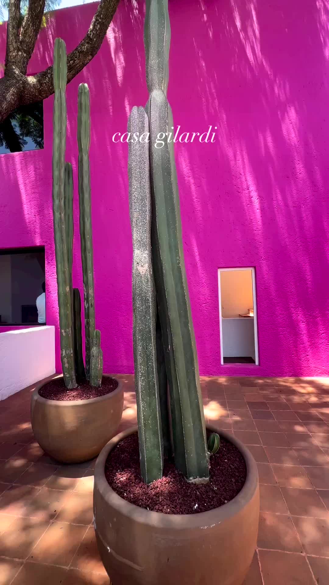 casa gilardi 🏠 

Built by the talented Luis Barragán, Casa Gilardi offers tours of the home for $30USD or 600MXN. Must reserve in advance since the family still lives there! 

#casagilardi #luisbarragan #mexicocity #mexicocityofficial #architecture #cdmxlife #museumlover #museumart #artoftheday #architecturelovers #mexicotravel #pinkpinkpink #pinkhouse #explorepage✨ #hellofrom #traveldiaries #bucketlist 

Casa gilardi Mexico City things to do in Mexico City beautiful architecture in Mexico beautiful homes in Mexico pink houses museums in Mexico City