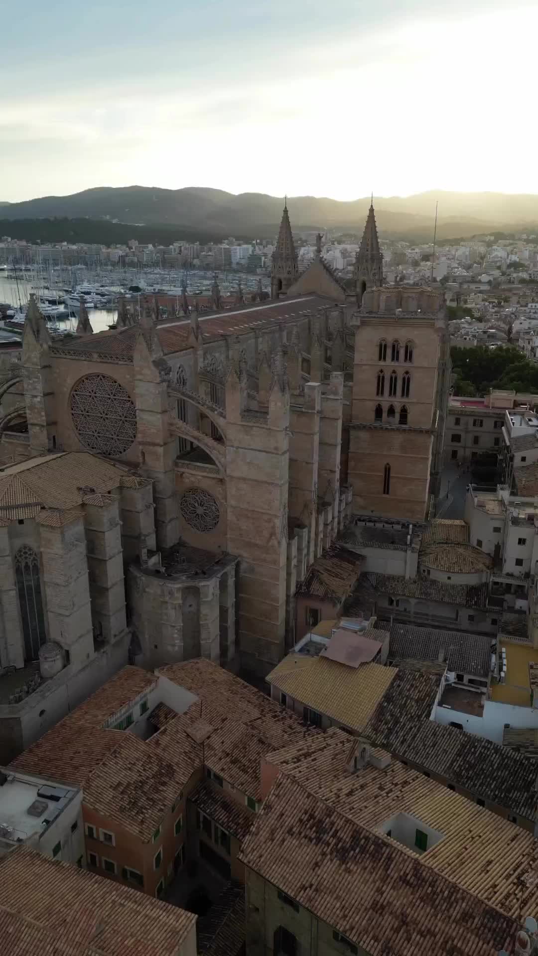 Aerial View of La Seu & Palma de Mallorca, Spain