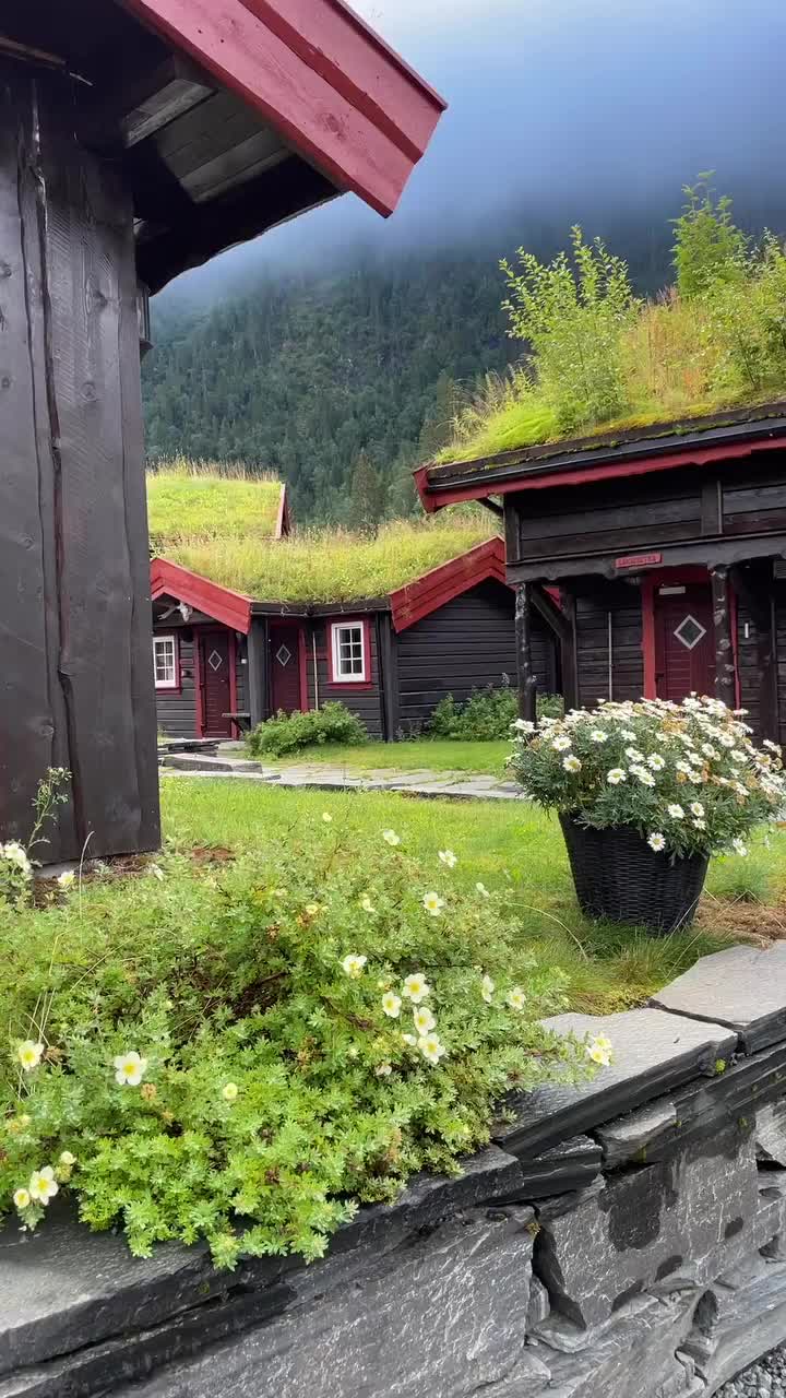 Trawy na Dachach – Zielona Norwegia 🌿🇳🇴