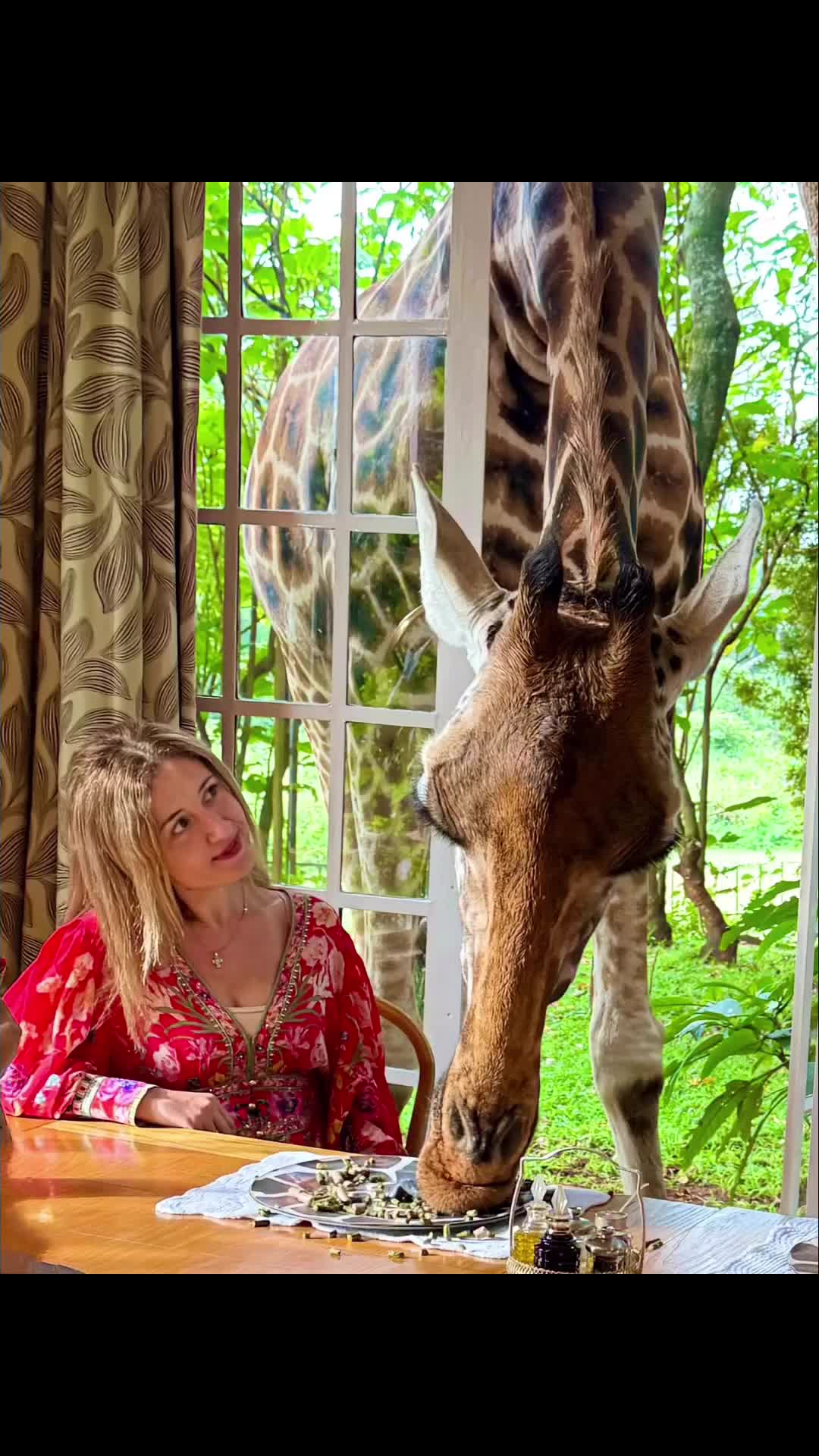 Maasai Mara & Giraffe Manor: Kenya Adventure Part 3