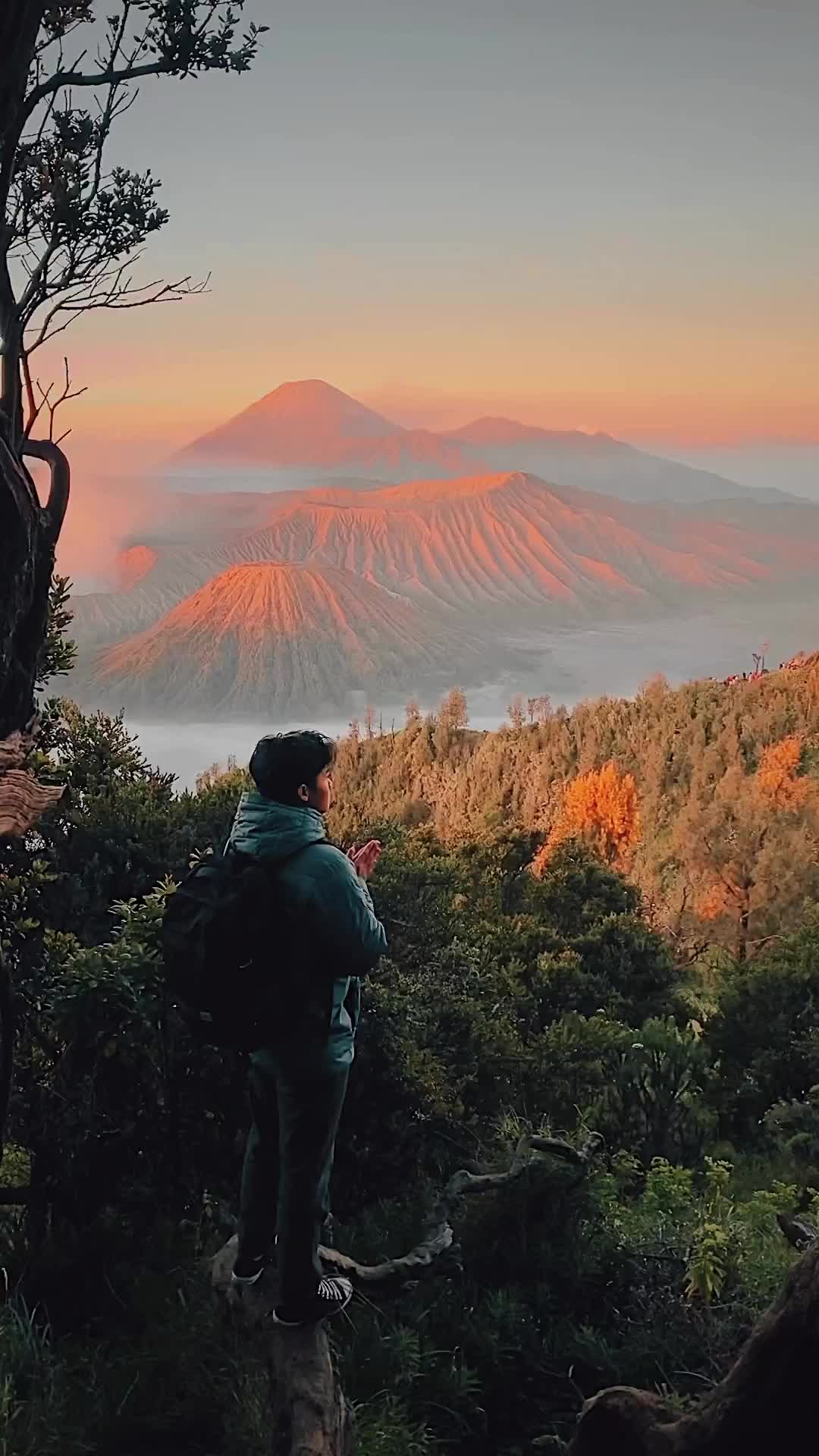 Discover the Magic of Bromo Mountain Sunrise