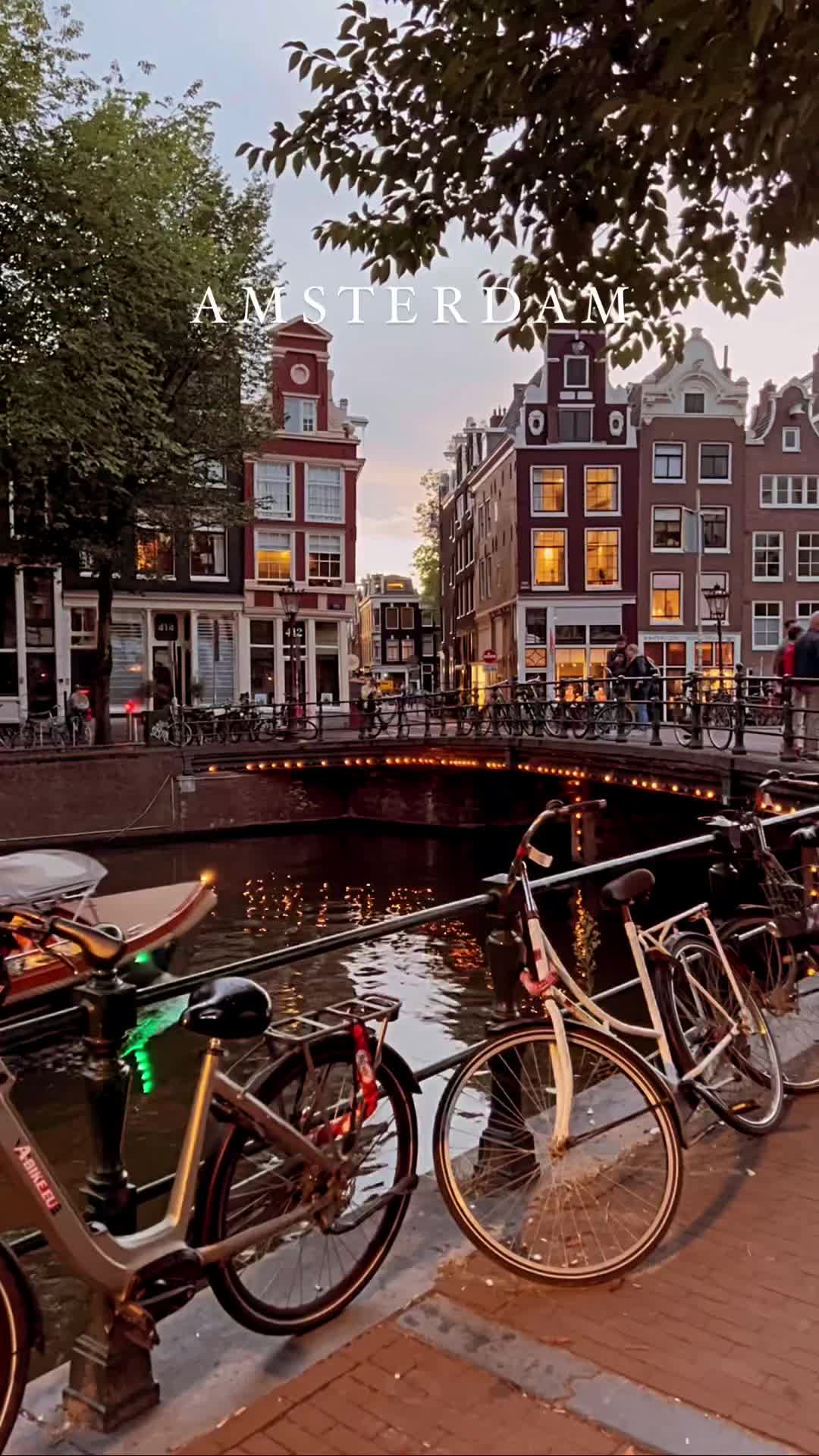 Discover Amsterdam's Four Seasons in One Video!
