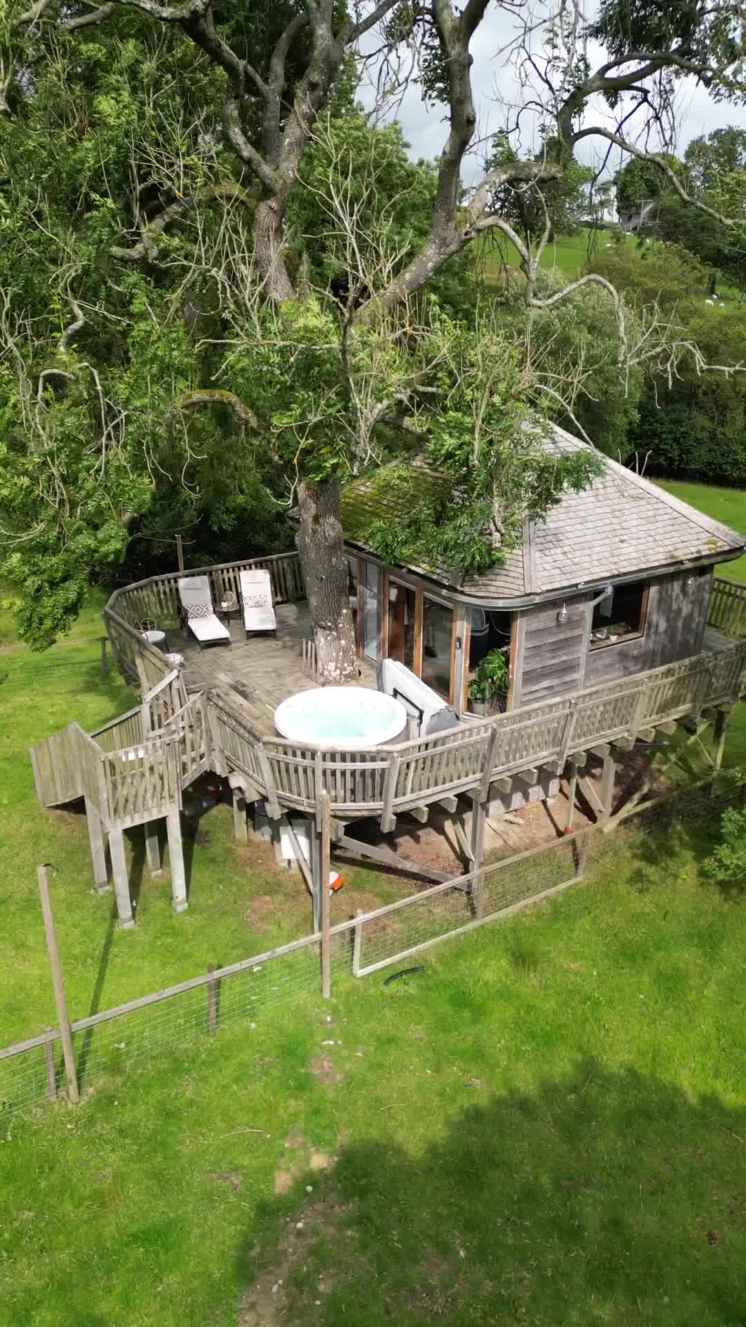 Discover Your Dream Treehouse Retreat in Powys