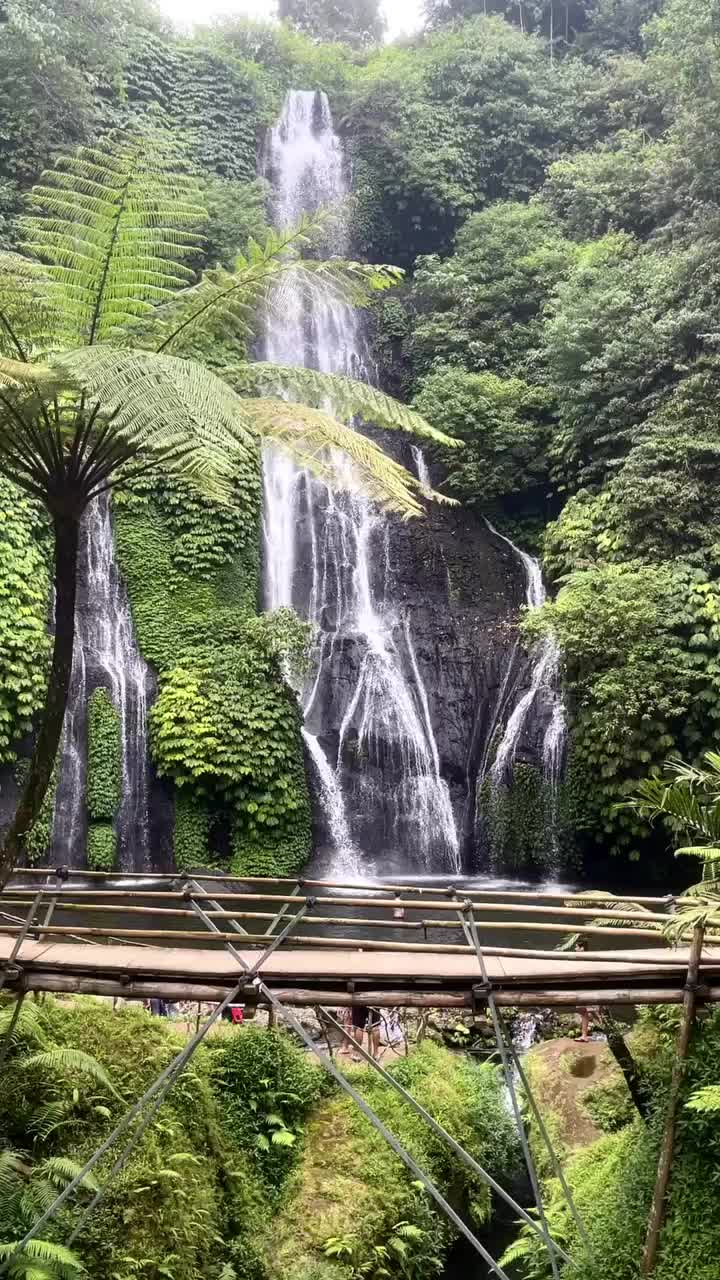 Suara Lato-lato yang sangat meresahkan 😂

Sering-sering kabur ke sini deh kalo gitu soalnya adem banget! 

📌 Banyumala Waterfall, Bali

#balilife #balidestination #explorebali #thebaliguideline #wonderfulindonesia #reelstravel