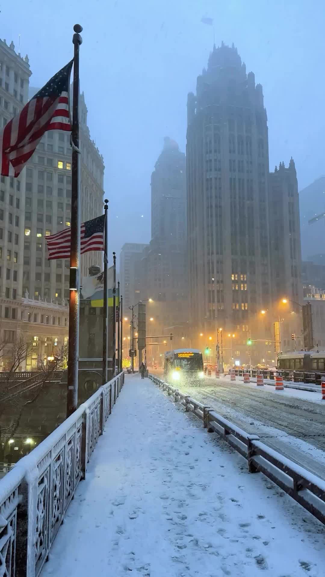 Winter Wonderland at DuSable Bridge, Chicago ❄️🌨️