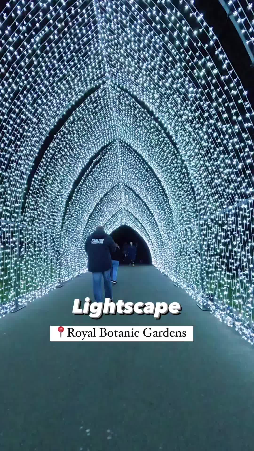 Lightscape Melbourne 2023 Highlights at Royal Botanic Gardens