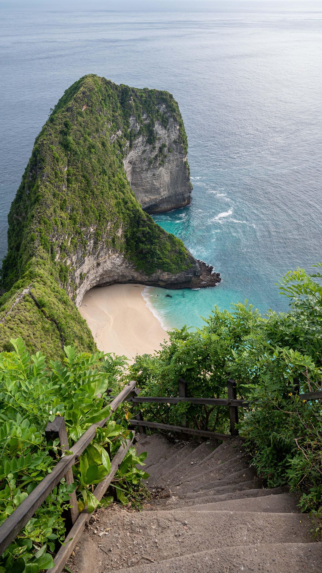 Bunga Mekar, Indonesia