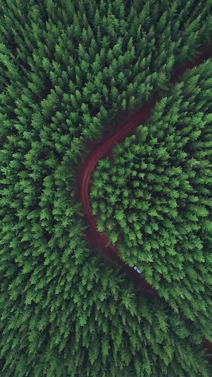 Explore Cloudy Days in Dwellingup's Pine Forests