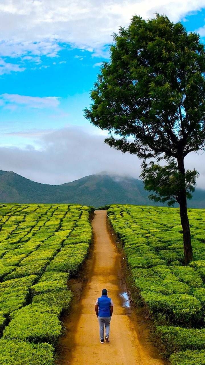 Majestic Falls and Serene Dams: Munnar's Natural Wonders