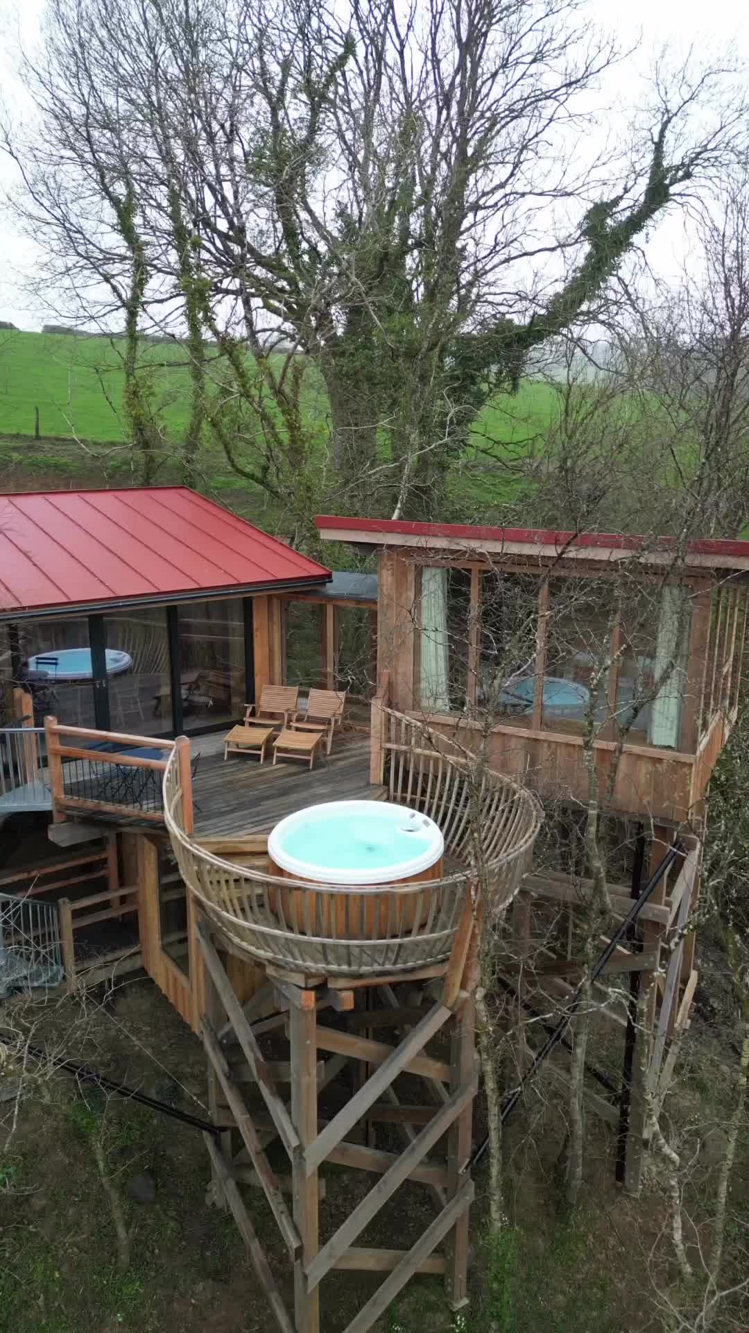 Ultimate Treetop Escape at Wolfwood Spa Treehouse 🌳✨