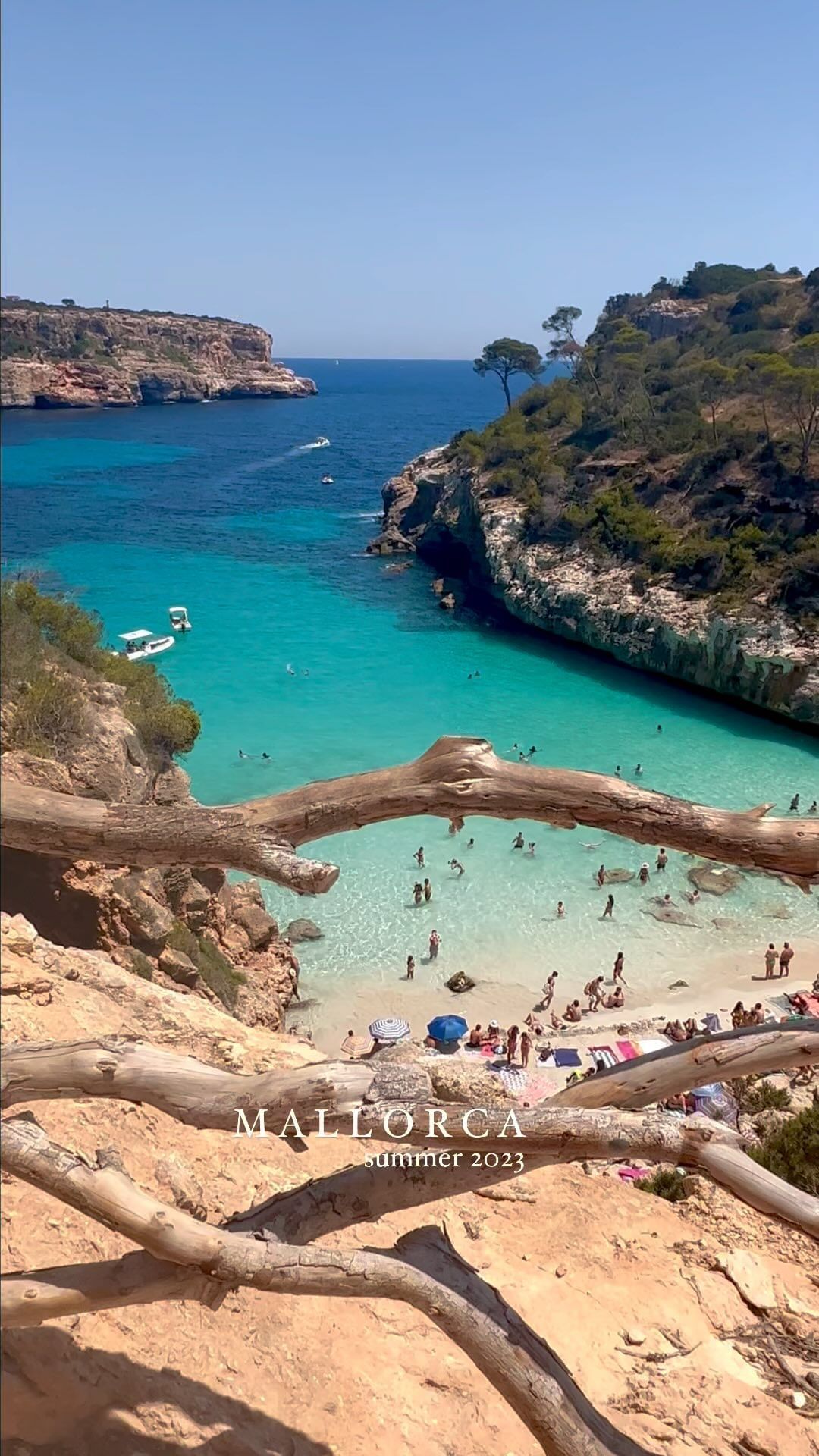 It’s going to be a lovely day. Snapshots of Mallorca. Counting down to heading back there soon 🌺🌺🌺☀️⛱️🐚👌🏻
 Video by: @mygreatescapes 
.
📍Save for your next trip 
✨Beaches: Cala Deià (great lunch spot too), Cala Formentor, Cala Mesquida, Es Calo des Moro 
✨Villages: Deia and Valdemossa
✨ Sunset - head towards Formentor and stop at the viewing point there. Or directly above which overlooks the coast
✨ We based ourselves with a mixture of locations: Deia, Santanyi and Pollenca
✨Hire a car to get around the island 

#mallorca #mallorcaisland #spain #spain🇪🇸 #spaintravel #beachesnresorts #earthfocus #vogueliving #huffpostgram #cnntravel #bbctravel #artofvisuals #forbestravelguide #theprettycities #interiordesign #housebeautiful #ig_spain #cntraveler #culturetrip #getoutside #getoutdoors #neverstopexploring #luxurylifestyle #artofvisuals #beautifulhotels #slowliving #mallorcalovers #beautifuldestinations #roomwithaview #culturetrip #suitcasetravels #beautifuldestinations #travellingthroughtheworld #forbestravelguide #spaintravel