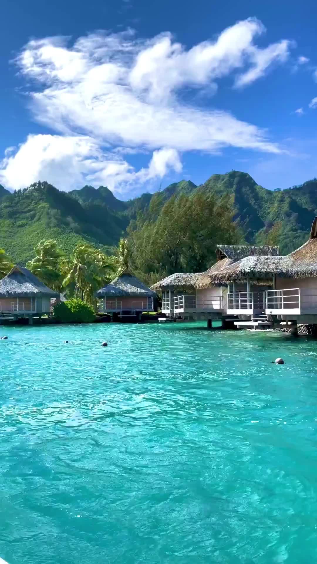 Discover Bora Bora: A True Tropical Paradise