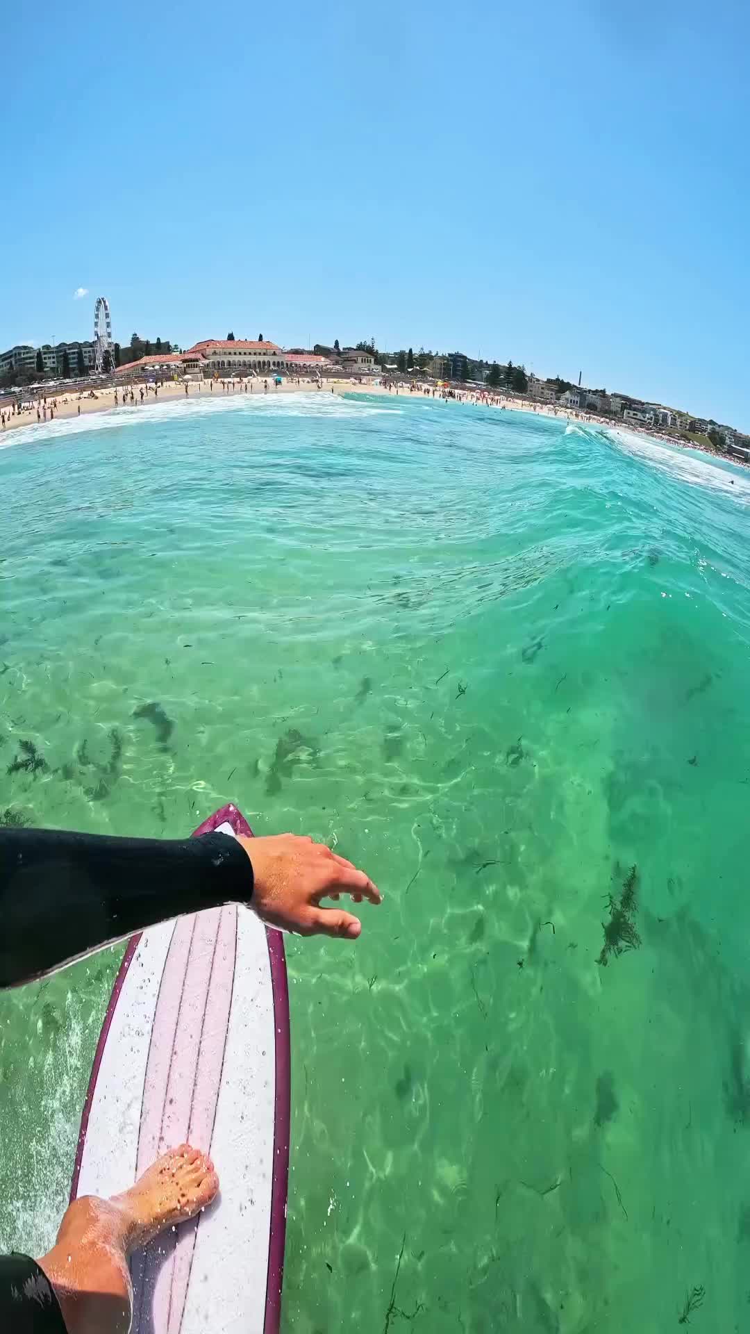Surfing Bondi Beach: POV Adventure in Sydney