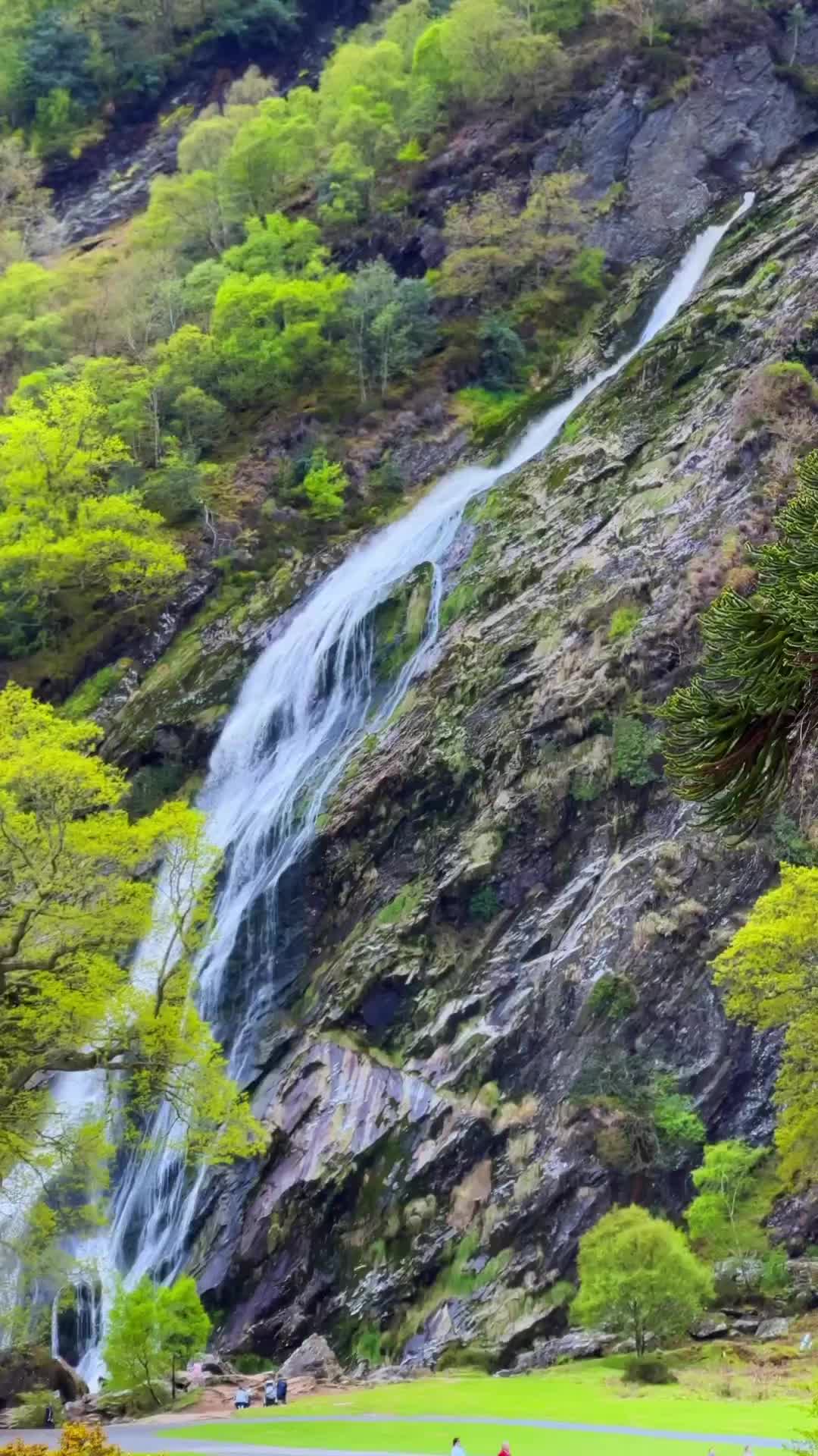 Discover Powerscourt Waterfall: Ireland's Tallest Wonder