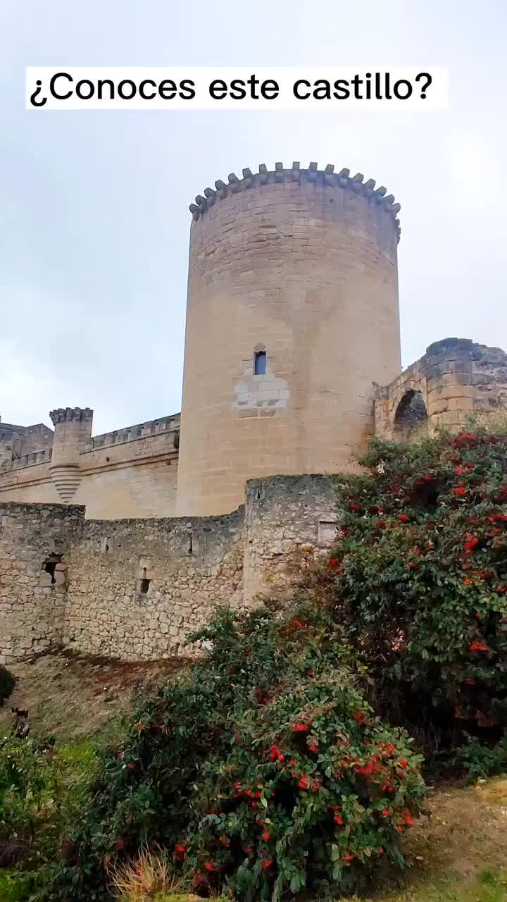 📍Castillo de Cuéllar 📍

Castillo de los Duques de Alburquerque.

Declarado monumento nacional en 1931, Podrás visitarlo, incluso hacen visitas teatralizadas. 

Nosotros como es de costumbre lo encontramos cerrado porque hasta el 15/02 no abren. 

Lo mejor es que os informéis antes en la oficina de turismo de Cuéllar. 

Sí que pudimos pasear por una parte de su muralla que es gratuita. 

Sin duda se ha convertido en un pueblo merecedor de ser visitado. Además, la gente de allí es encantadora. 

Saludos a todos los que habéis compartido mi reels de vuestro pueblo. 💕 

#viajarmola #turismocuellar #cuellar #cyl #segovia #segoviaturismo #pueblosconencantodeespaña #pueblosconencanto #castles #castillosdeespaña #planesdiferentes #planesconniños #historiaespaña #castillayleon #turismointerior #turismosegovia #turismocastillayleon #planesmolones #disfrutaenfamilia #weekendesk_es